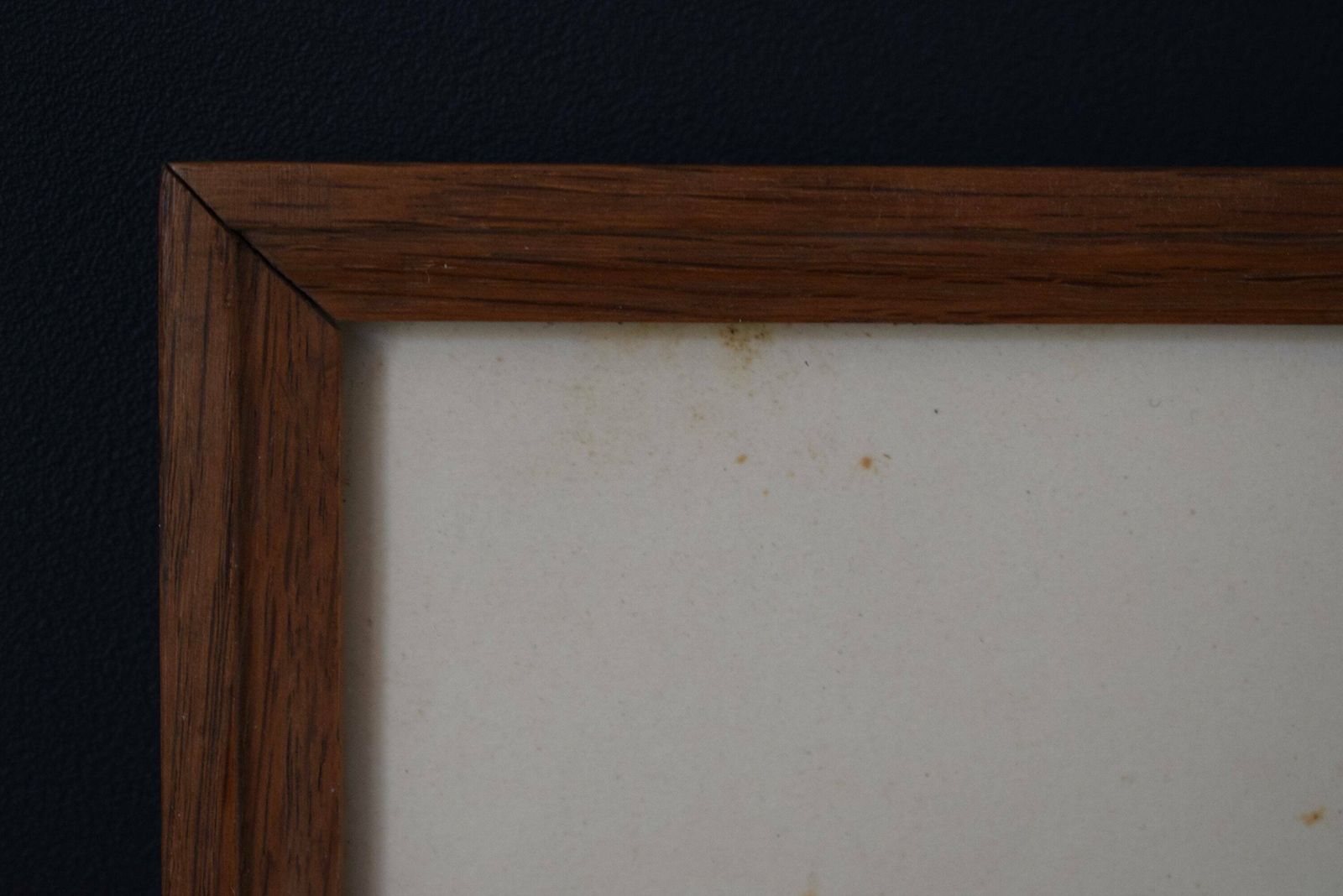 photo furniture 1920's Vintage Wall Hunt Trophy Drawing Game Bird With Genuine Feather
