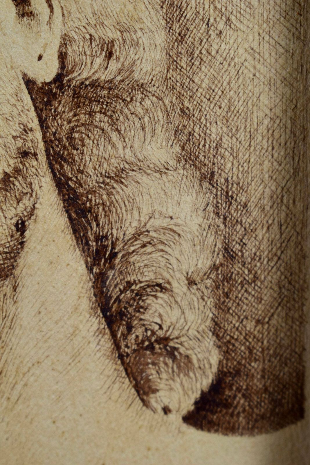 Antique French Religious Ink Drawing On Paper Of Jesus Christ Portrait , Jesus On The Cross photo buy