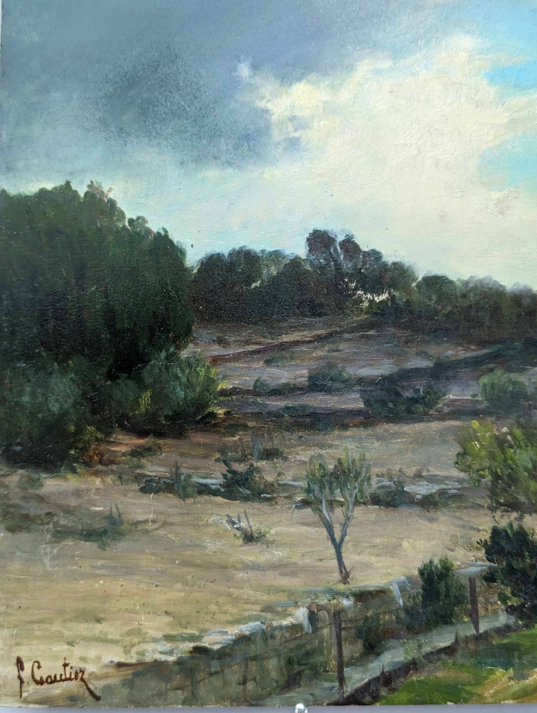 Landscape By François Gautier (1842 1917) photo Art