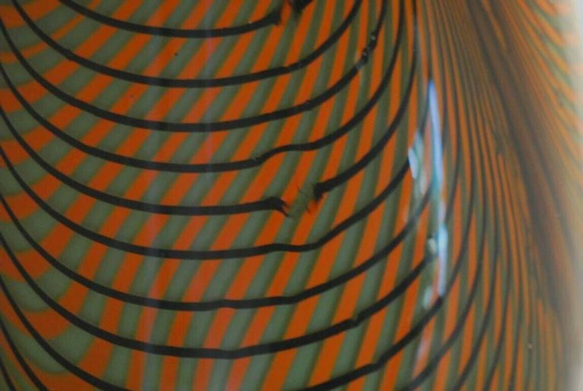 photo for sale Alberto Donà, Tall Feather Vase, Black Green Filigree Over Terracotta Background