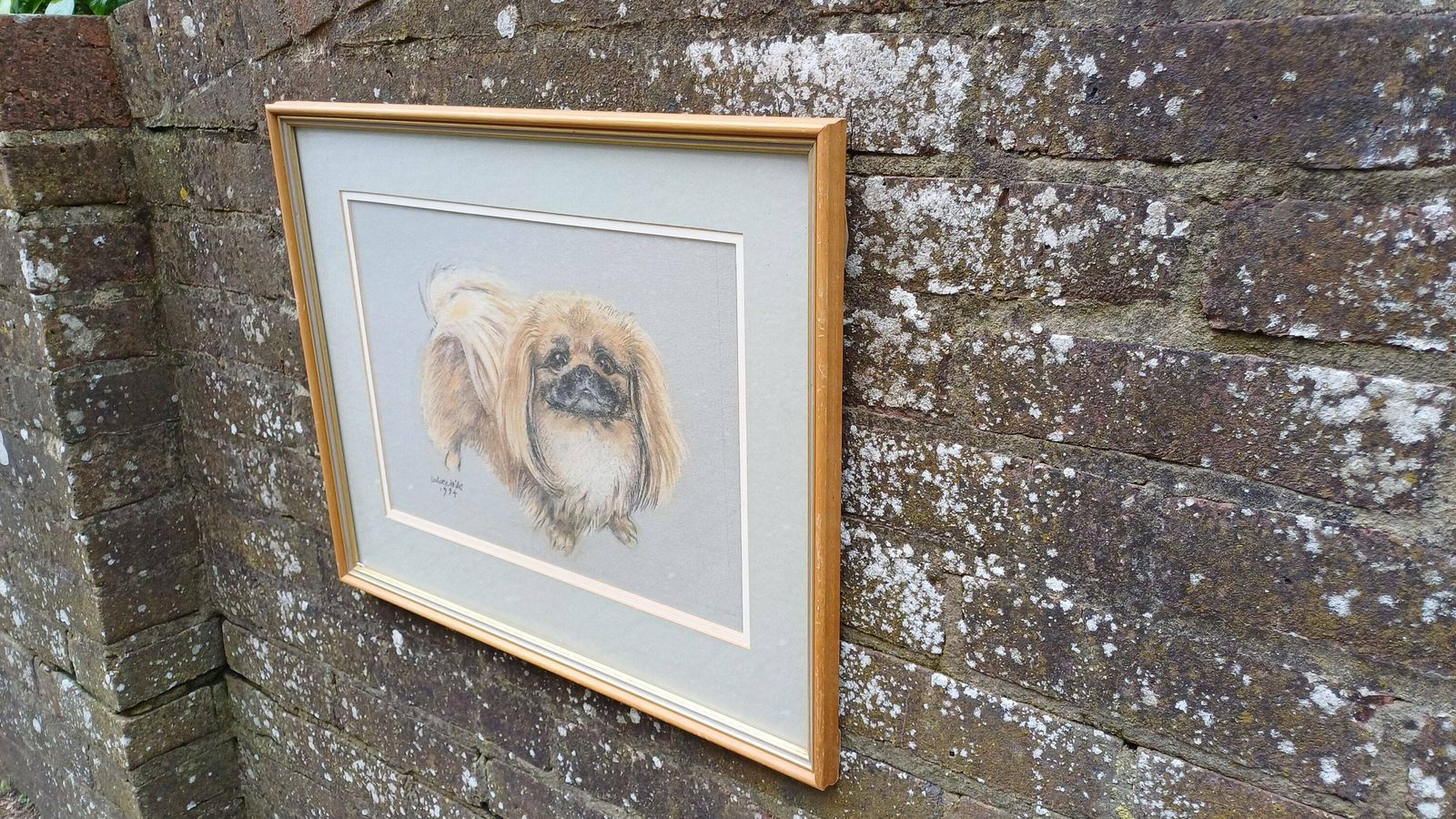 Original Vintage Pastel By Valerie Miles 1994, Original Drawing By Famous Welsh Artist, Pekinese Pekingese Dog, Tricki Woo photo vintage