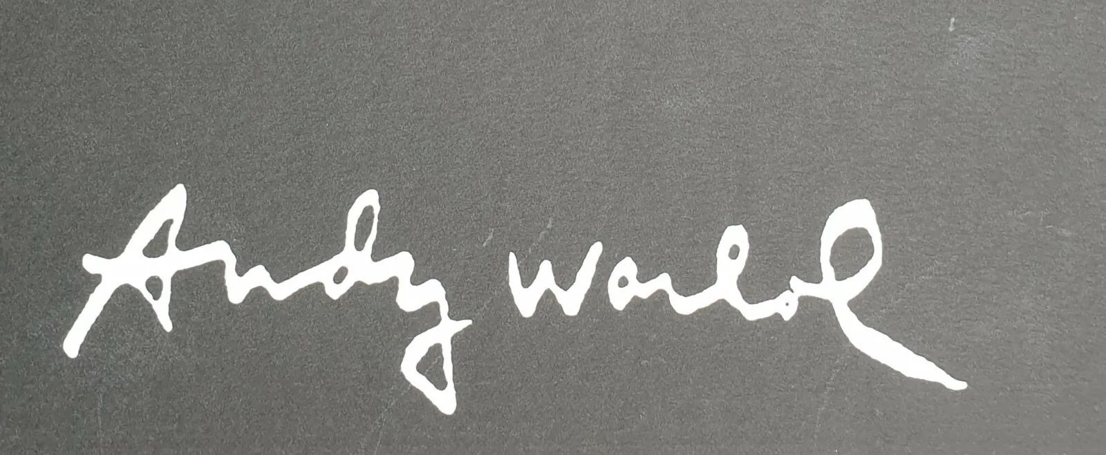 After Andy Warhol (1928–1987) Carnegie Museum Of Art Lithograph, 1986 photo buy