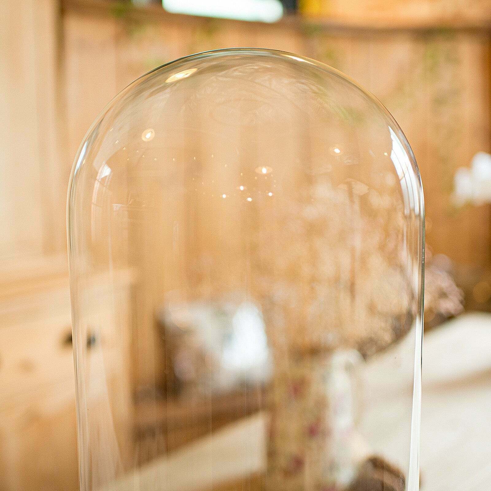 Tall Antique Professor's Specimen Dome, English, Glass, Taxidermy, Victorian photo 1195.0