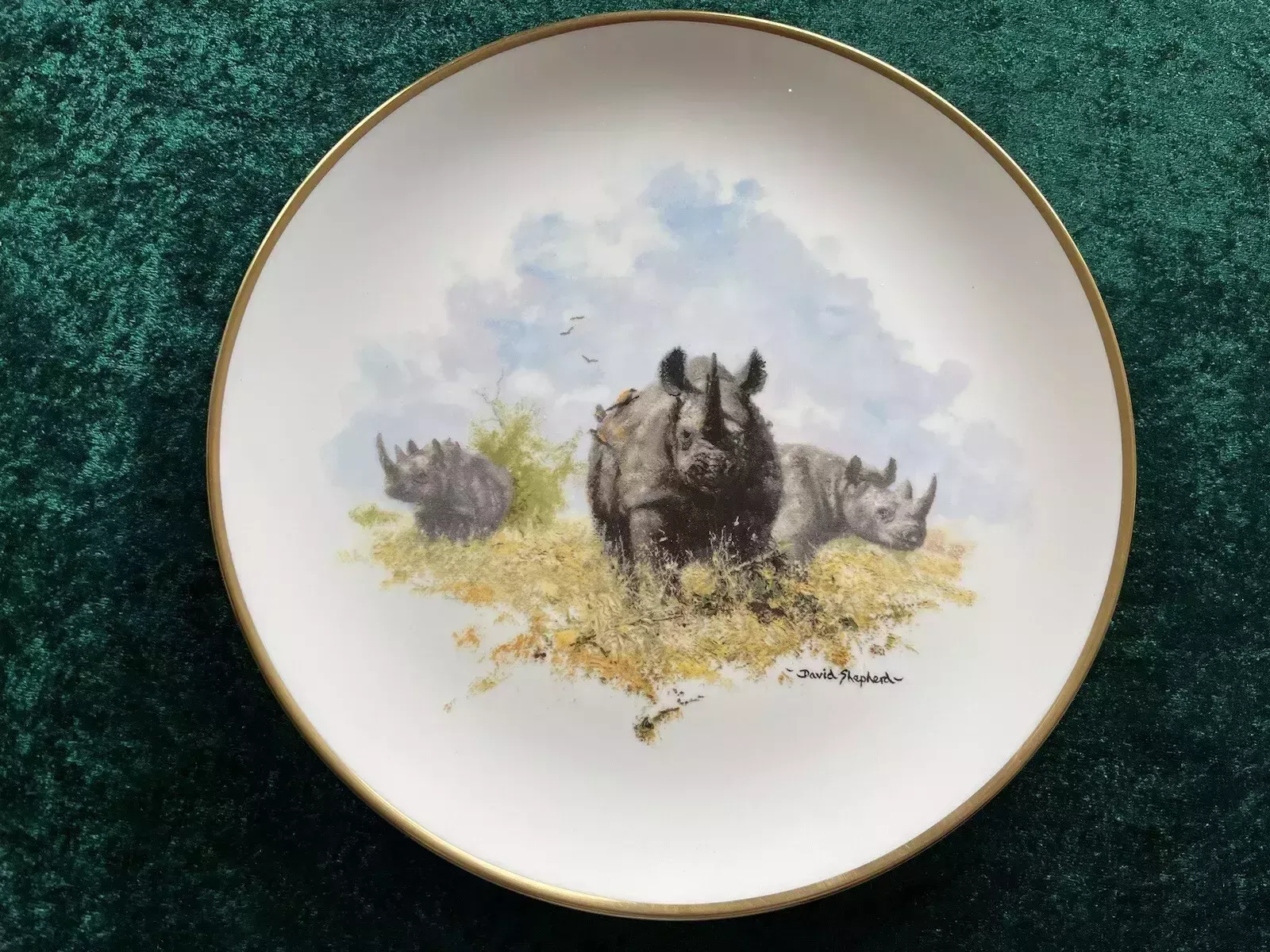 Set Of Four Wedgwood David Shepherd Wildlife Collection Collectors Plate photo Home Decor
