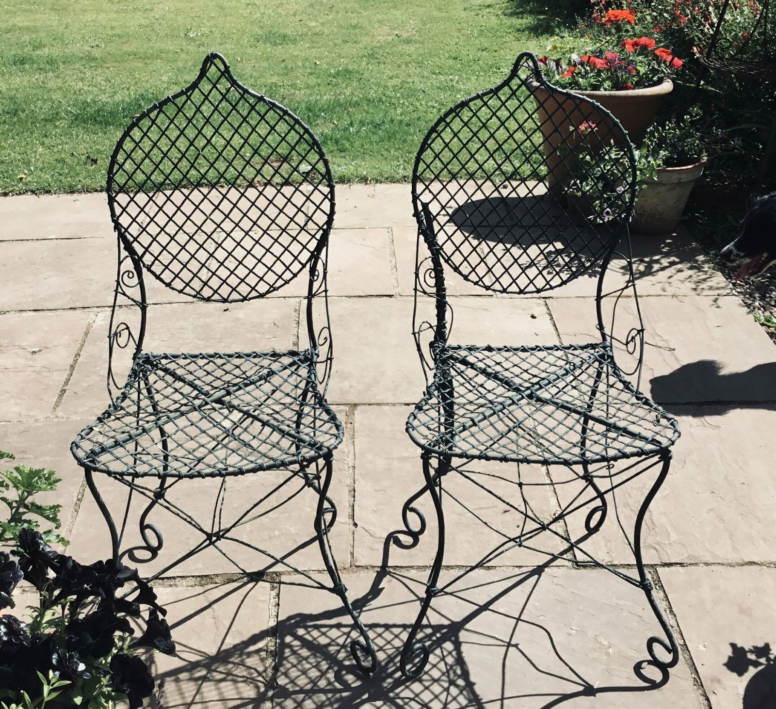 Fabulous Pair Of Antique Early English Wirework Garden/Conservatory Chairs.