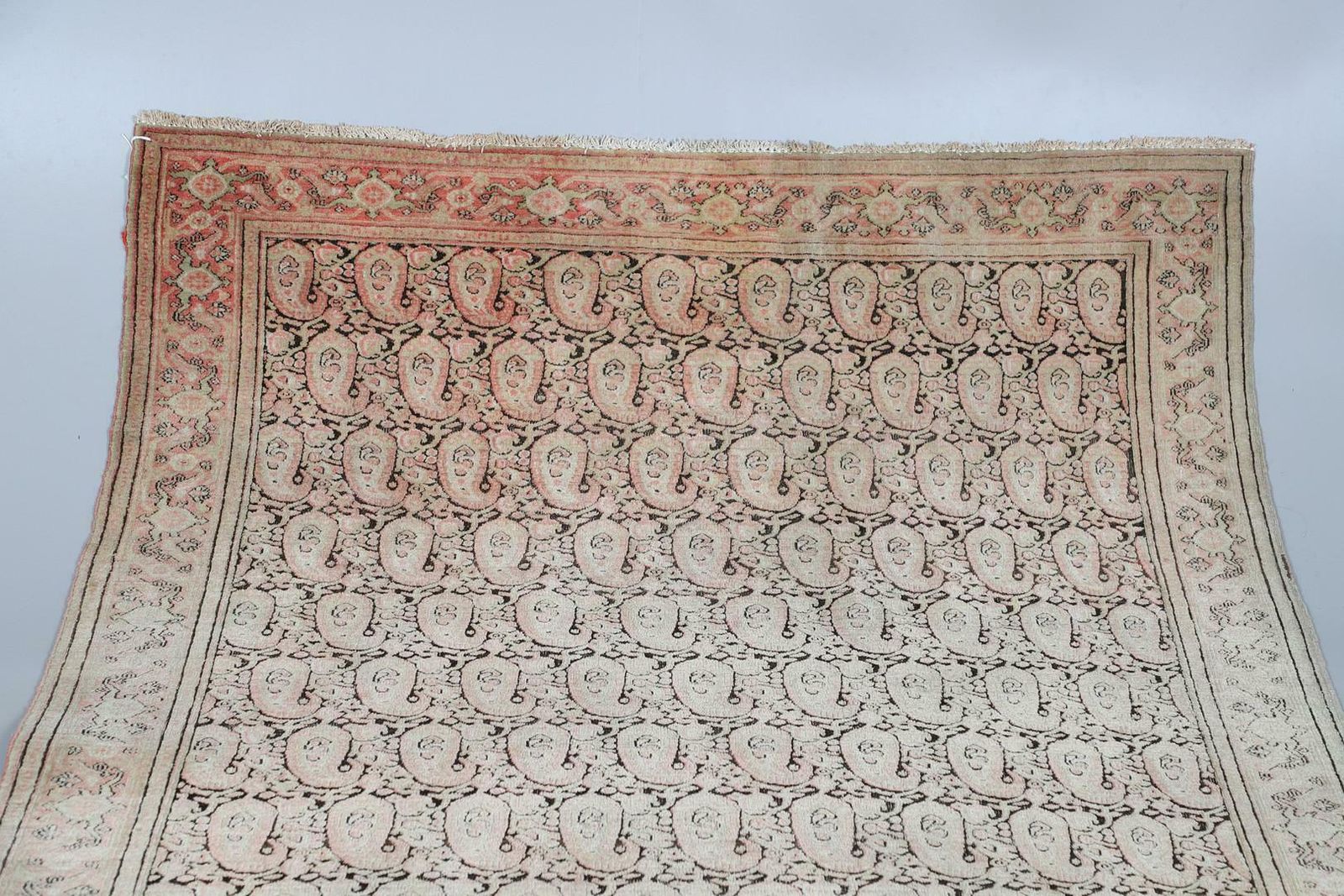 Rare Antique Rugstraditional Blush Pink Rug Wool Paisley Pattern Carpet photo vinterior
