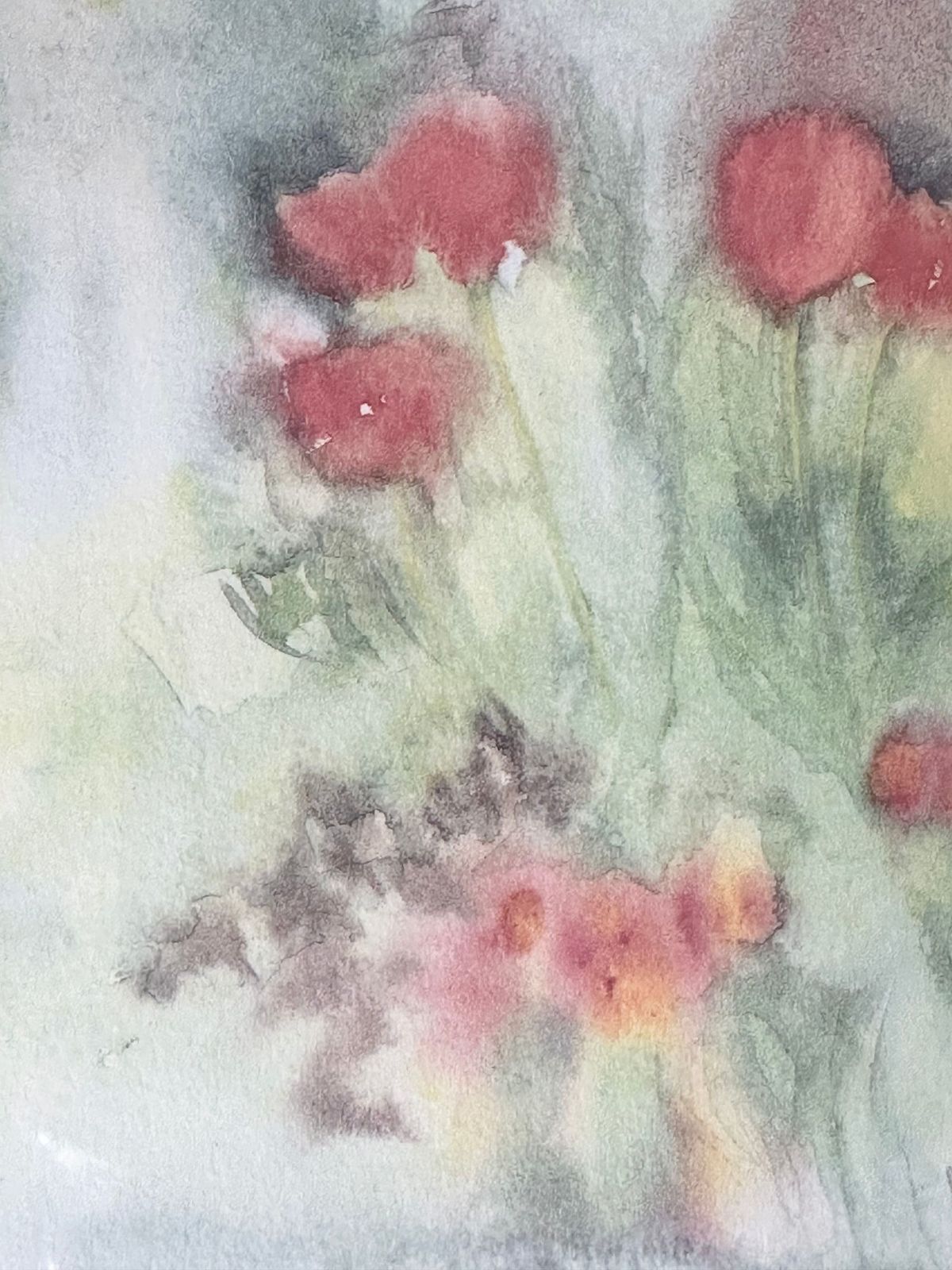 Framed Abstract Floral Print, Gillian Mcdonald Limited Edition Tulips Print photo for sale