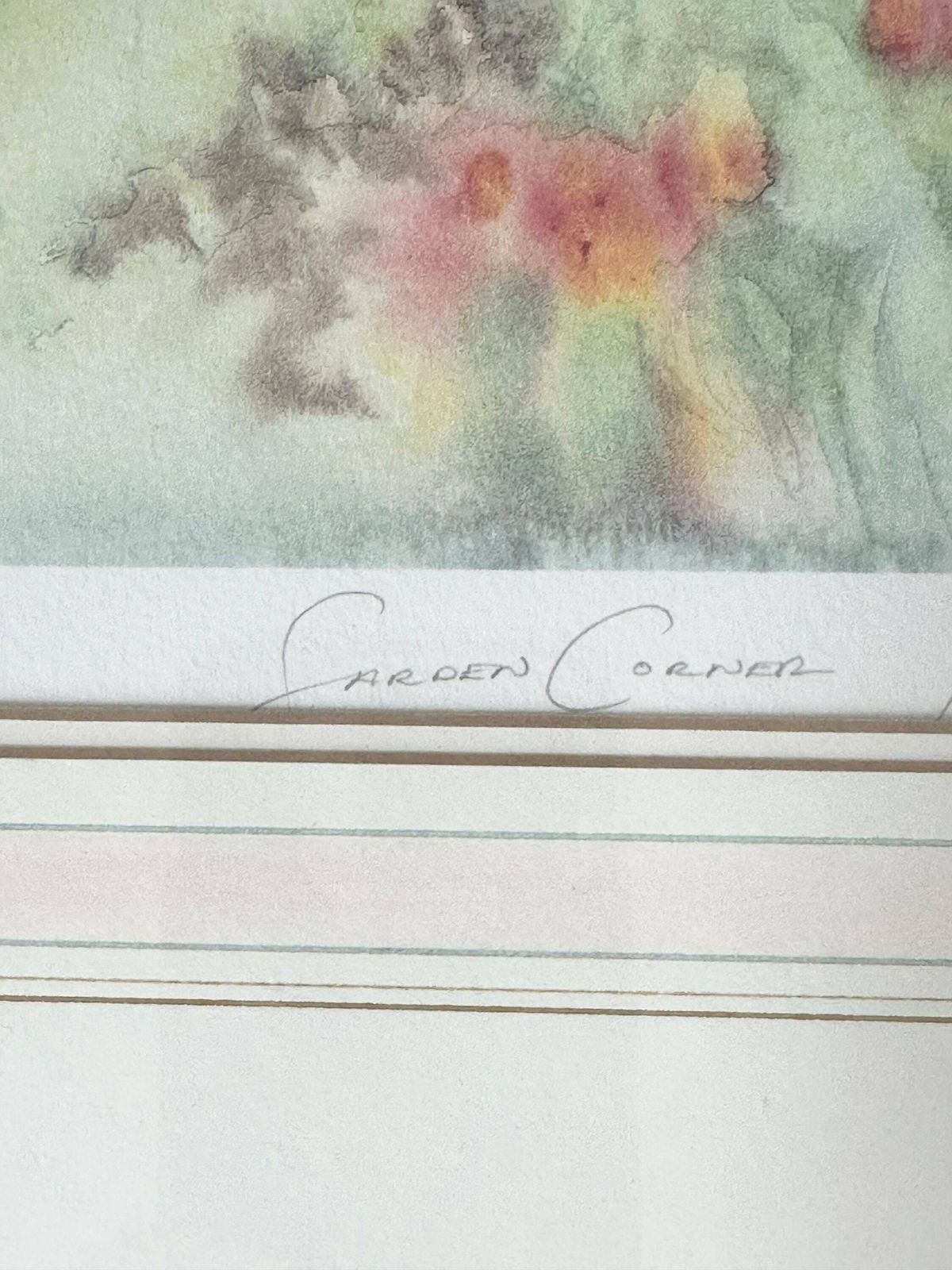 Framed Abstract Floral Print, Gillian Mcdonald Limited Edition Tulips Print photo buy