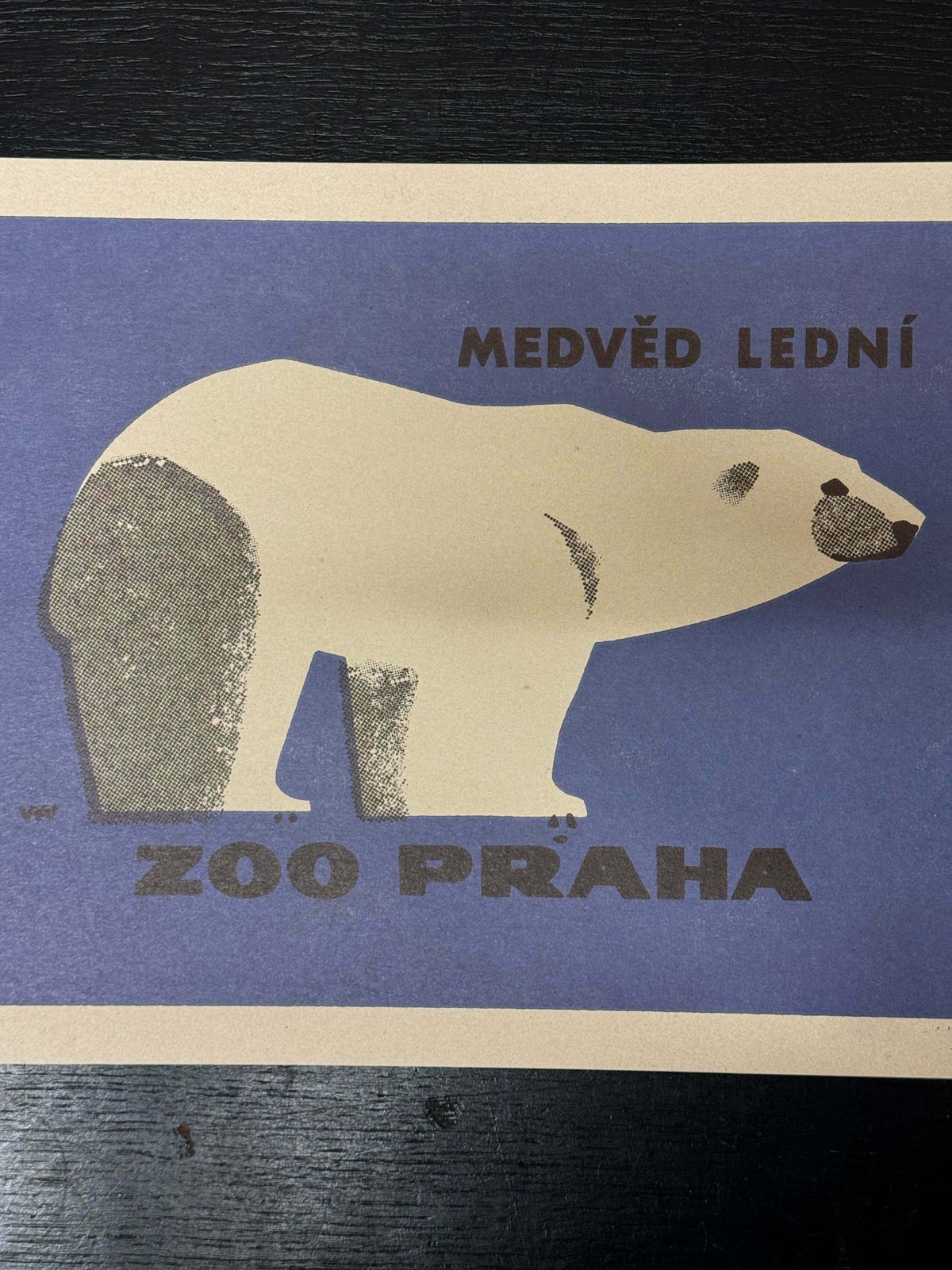 Limited Edition Czech Match Box Art Poster 85 Of 240 Zoo Praha Polar Bear photo for sale