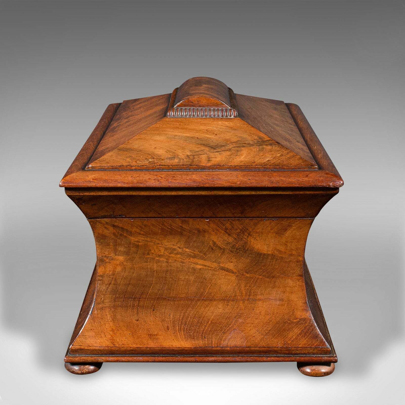 Antique Drawing Room Tea Caddy, English, Flame, Sarcophagus, Regency, Circa 1820 photo vinterior