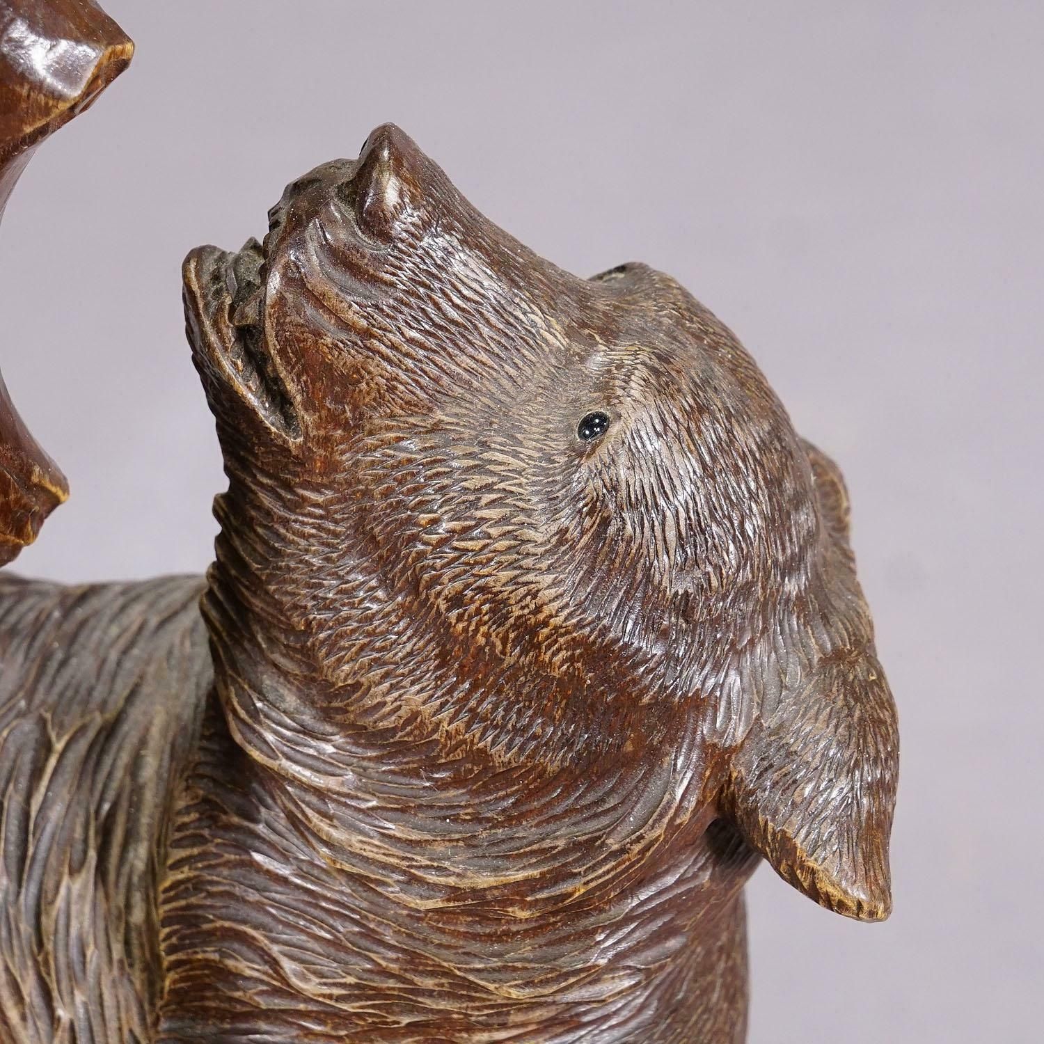 photo for sale A Wooden Carved Black Forest Bear With Glass Vase Ca. 1900s