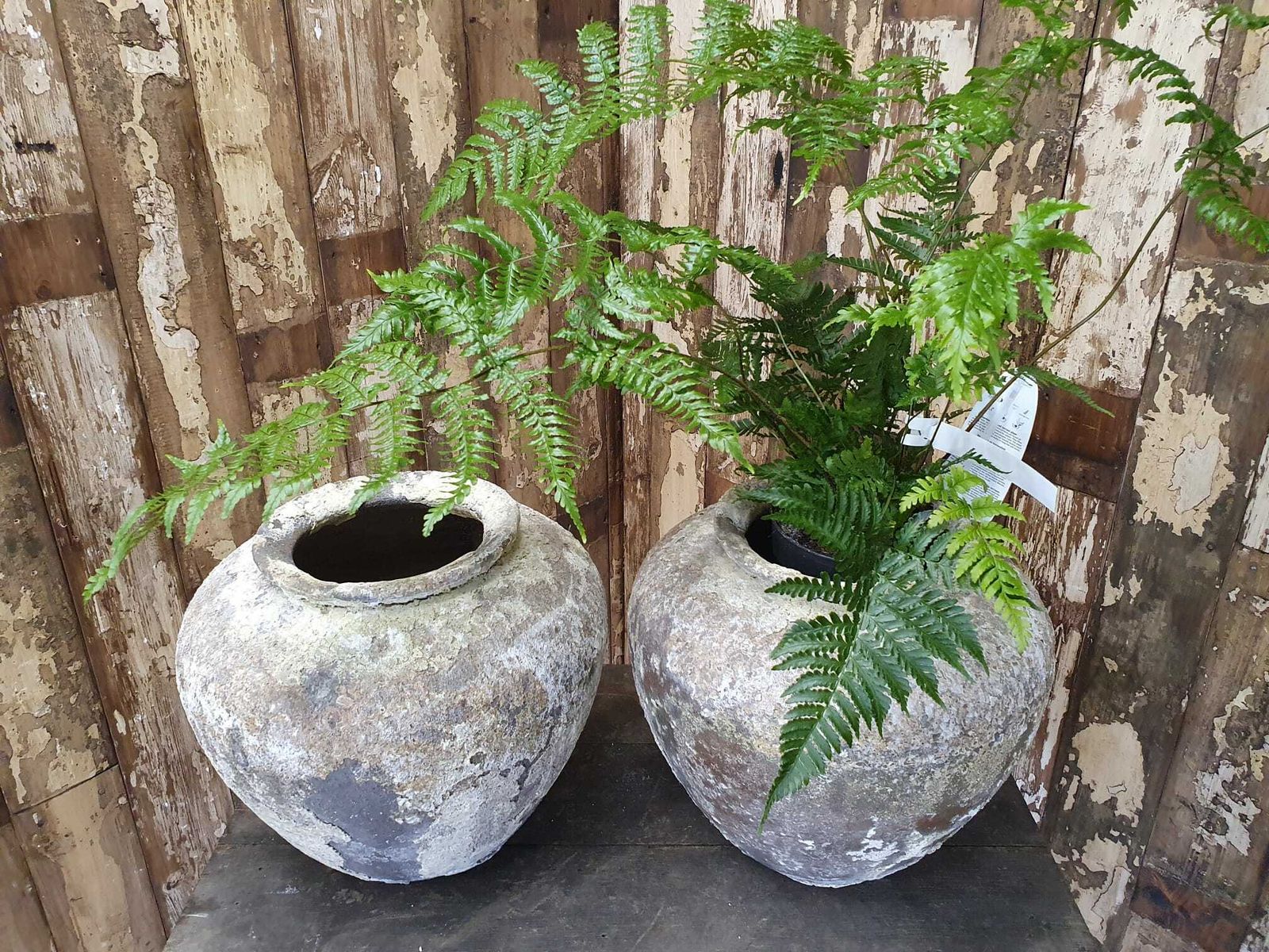 Antique Italian Mineral Glaze Pot photo Home Decor