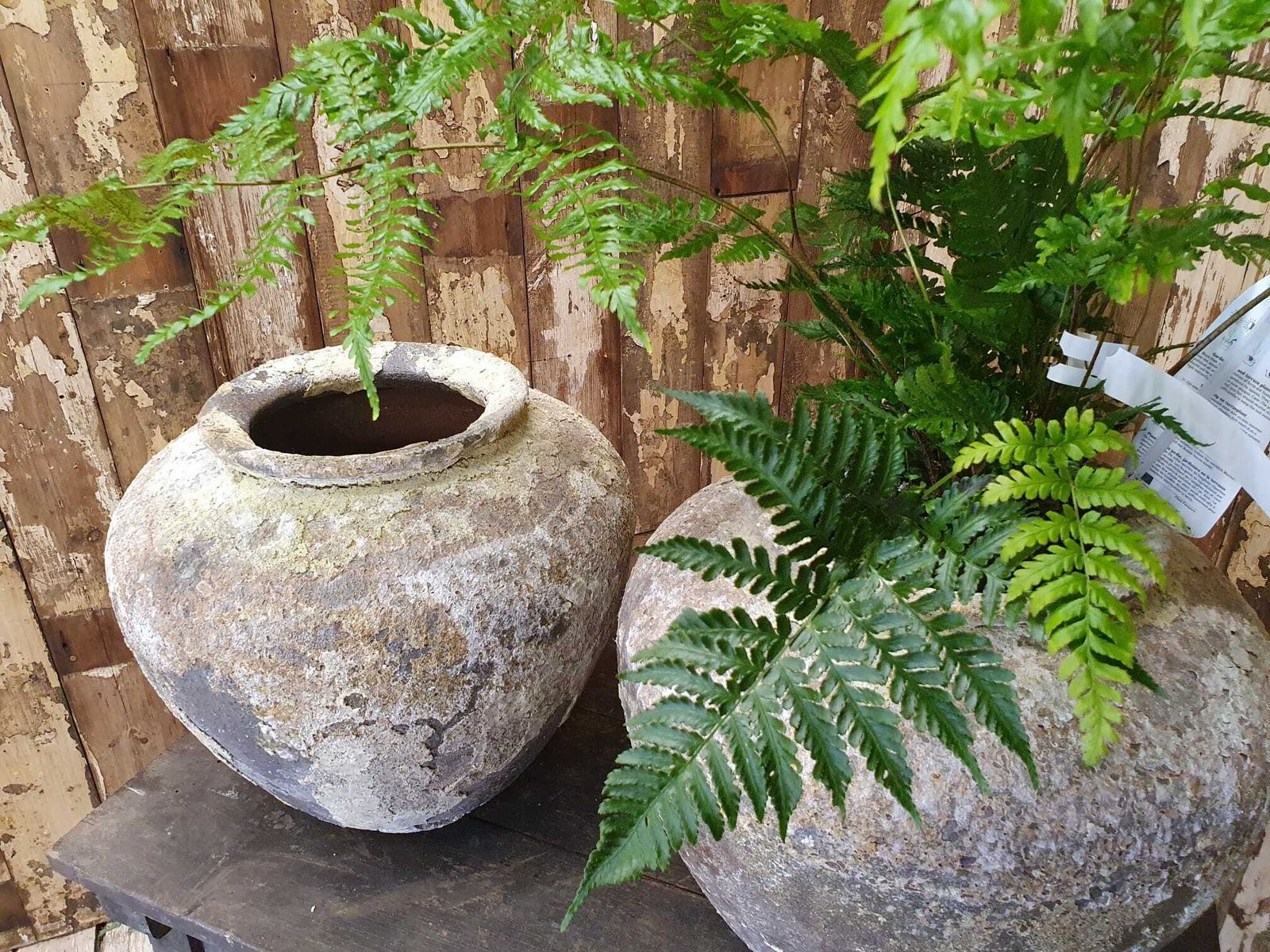 photo for sale Antique Italian Mineral Glaze Pot