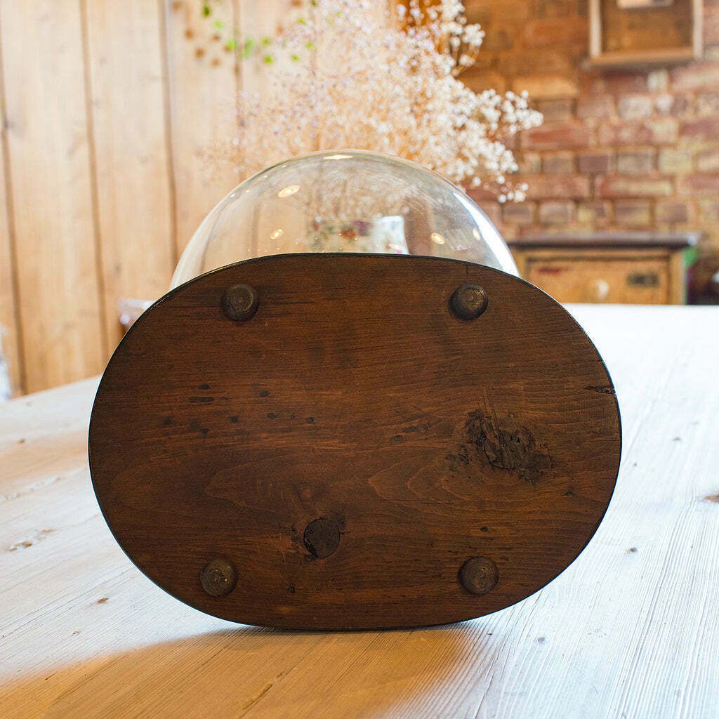 Wide Antique Clock Dome, English, Glass, Pine, Display Showcase, Victorian, 1860 photo buy