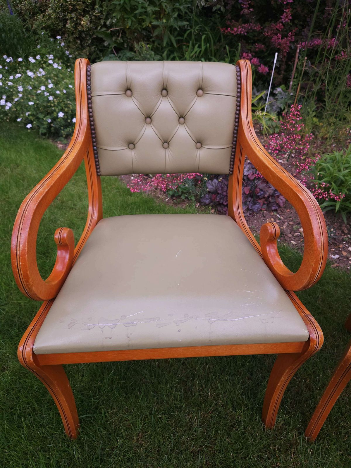 Trio Of Chesterfield Desk Chairs In Pale Olive Green Leather photo vinterior