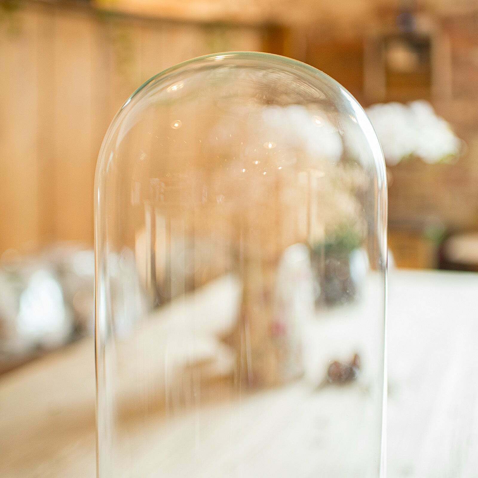 Pair Of Antique Display Domes, English, Glass, Taxidermy Showcase, Victorian photo vinterior