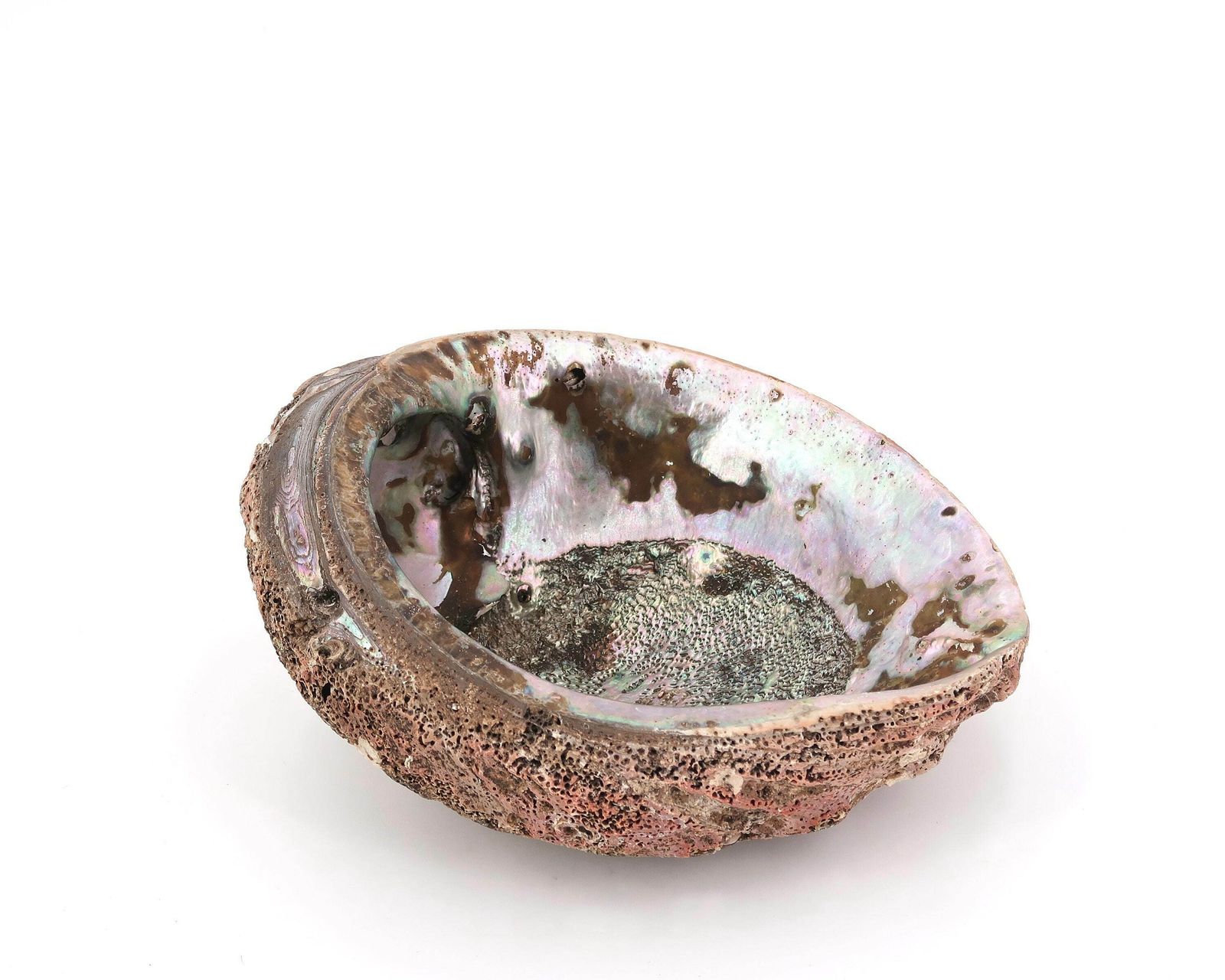 Large Seashell : Large Abalone Mother Of Pearl, 1960s / Ring Dish, Tray, Jewelry Display, Boho Chic, Bohemian, Folk Bathroom photo Home Decor