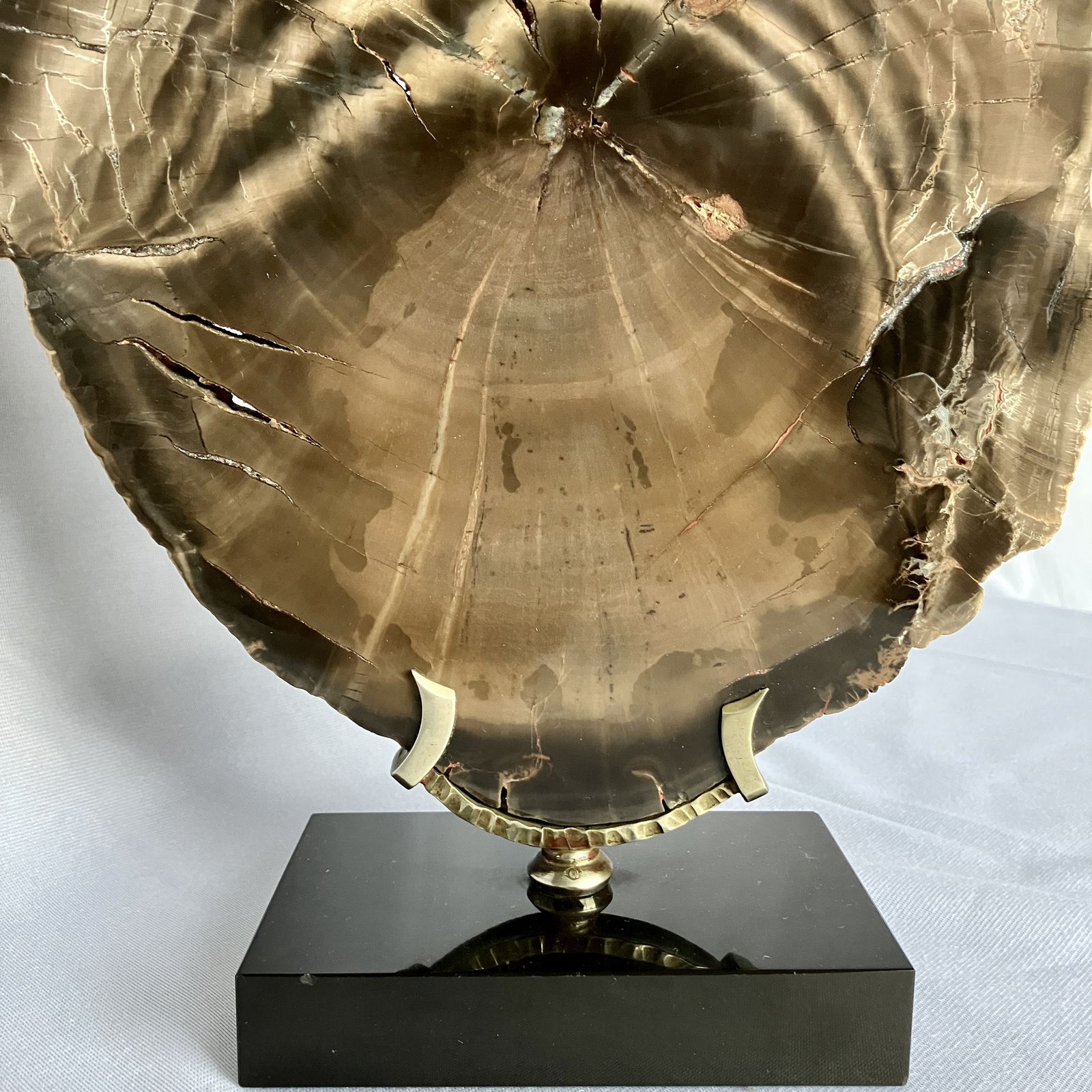 A Large Fossilised Or Petrified Wood Specimen, Polished And Mounted On A Bespoke Stand, Circa 120 To 240 Million Years Old photo furniture