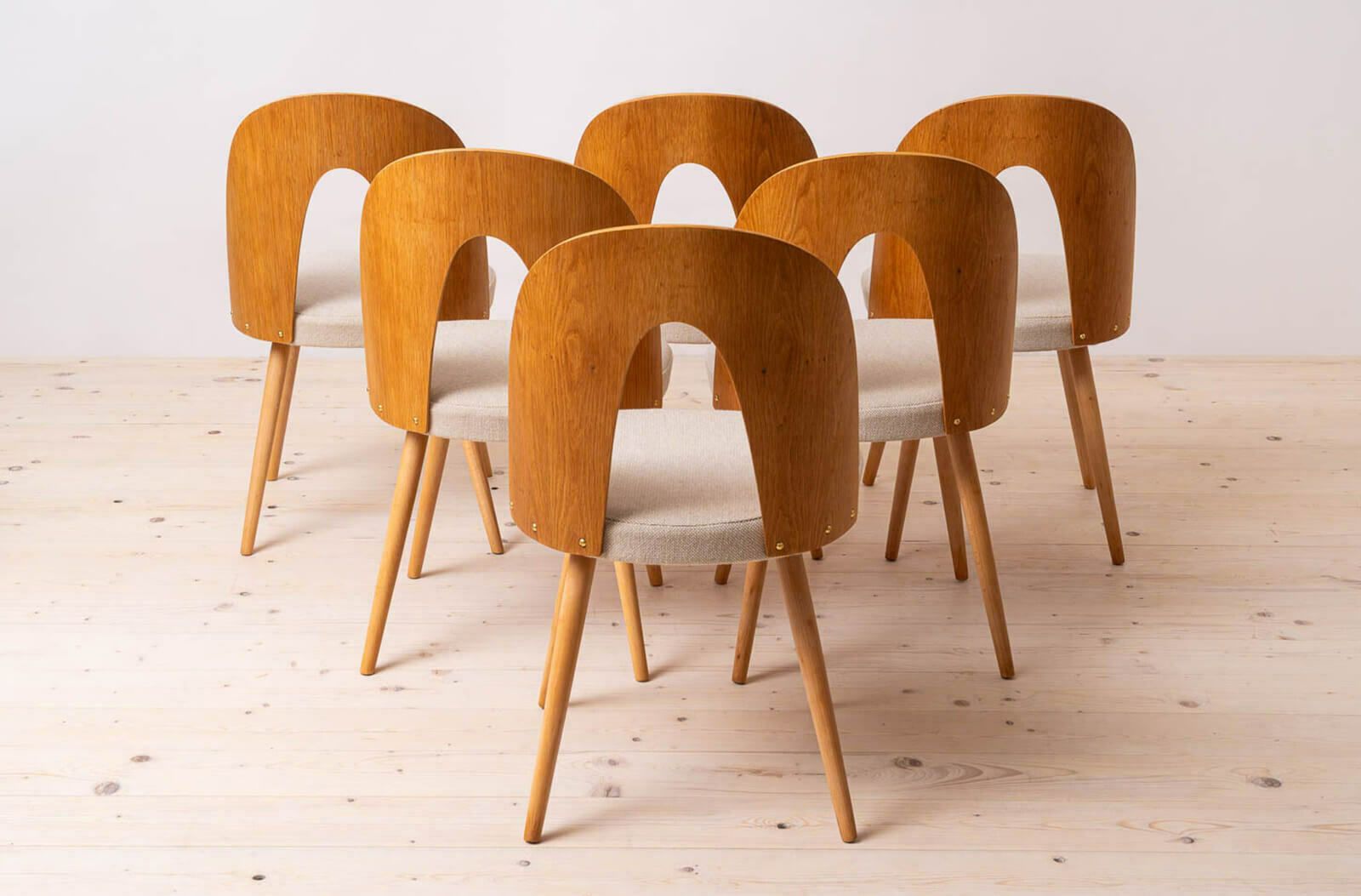 Set Of 16 Mid Century Dining Chairs By A.šuman, 1960s, Customizable Upholstery Available photo 10500.0