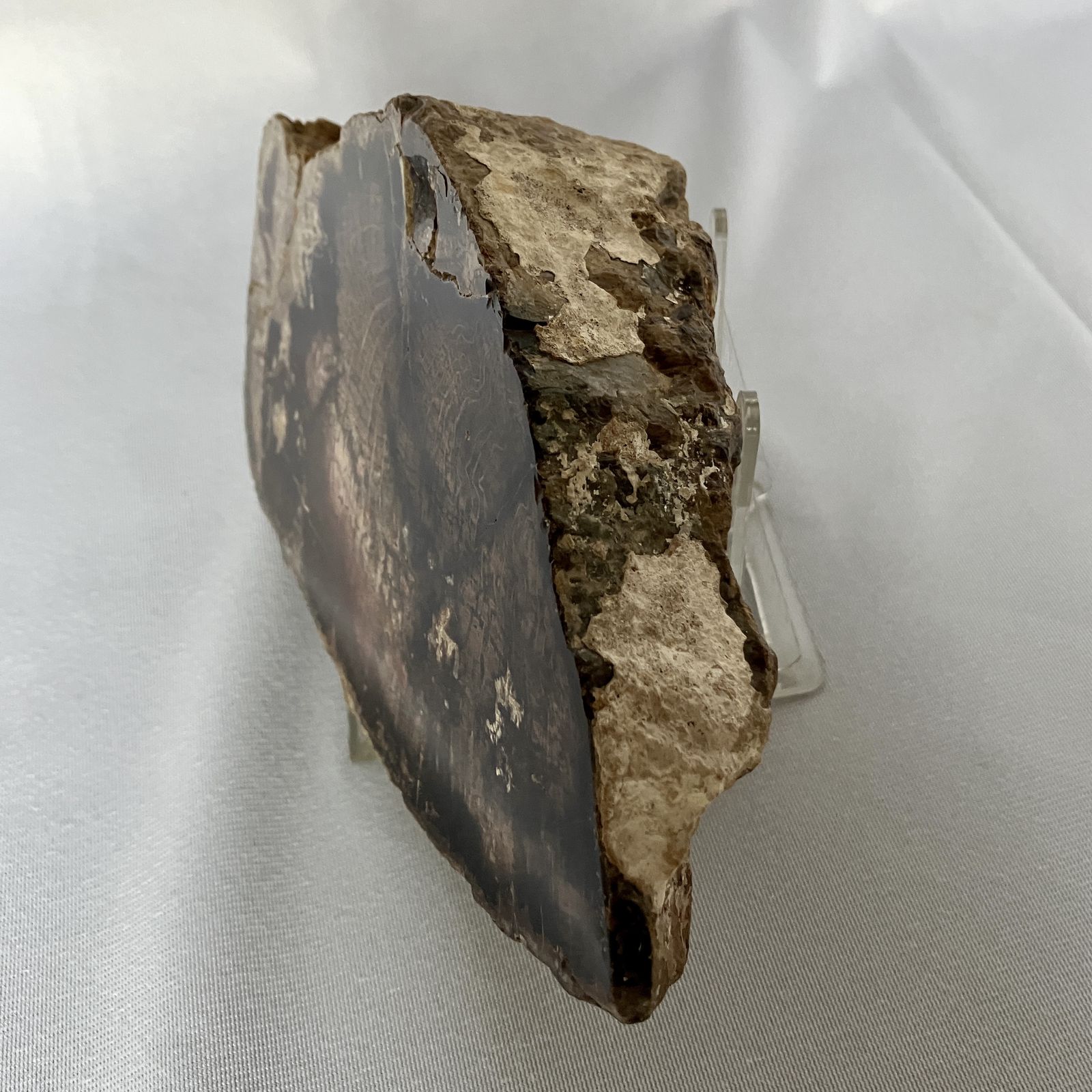 A Small Fossilised Or Petrified Wood Specimen, Polished And Mounted On A Perspex Stand, Circa 120 To 240 Million Years Old photo furniture