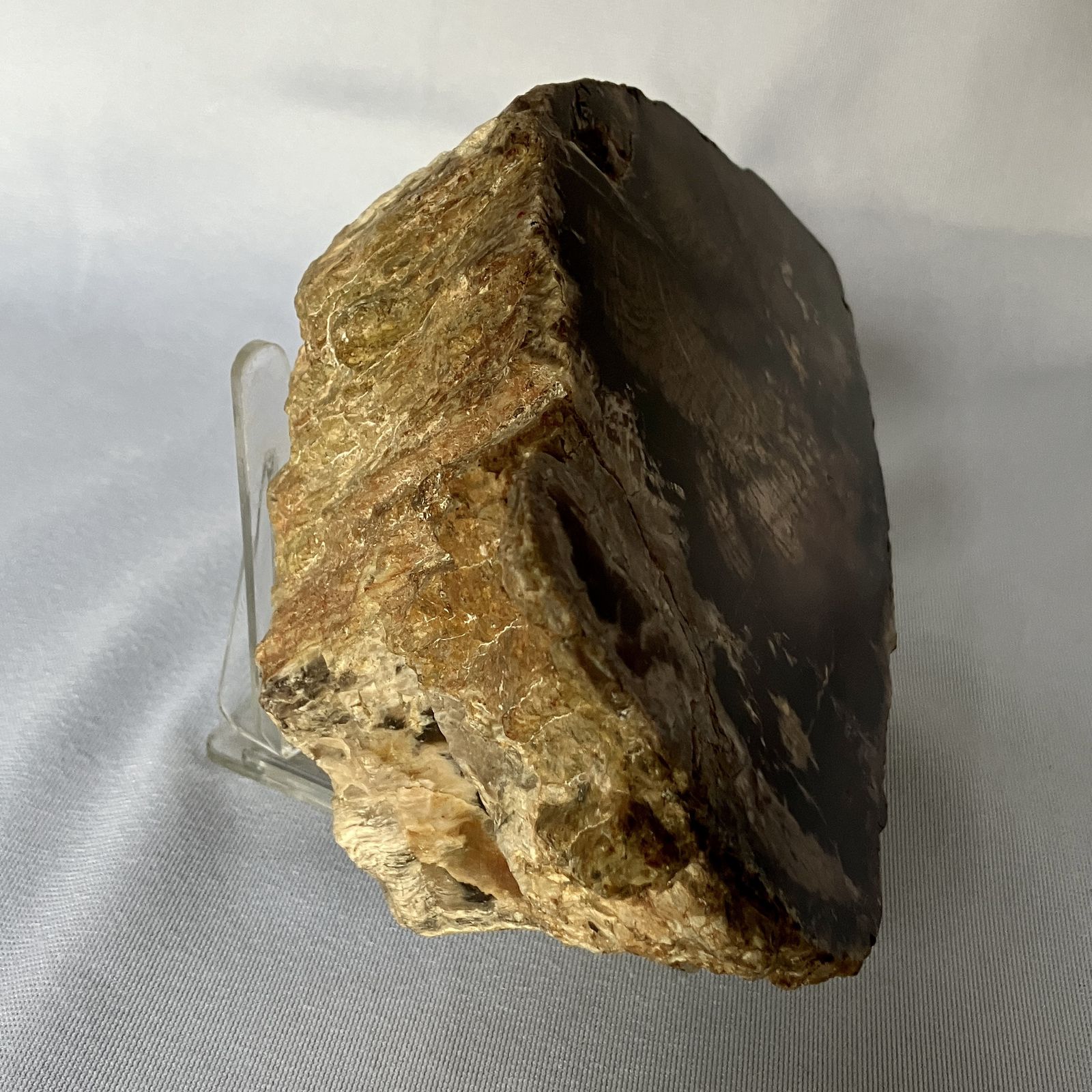 A Small Fossilised Or Petrified Wood Specimen, Polished And Mounted On A Perspex Stand, Circa 120 To 240 Million Years Old photo Home Decor