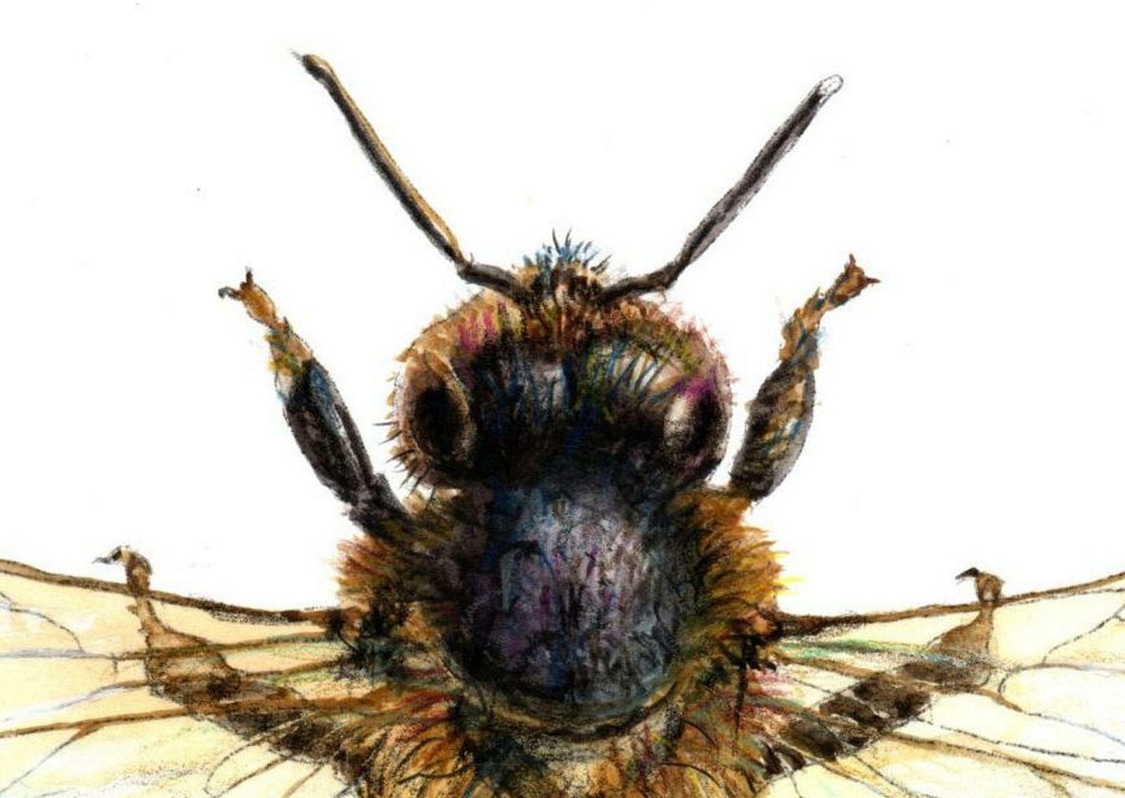 Juris Utans Bee From The Top. Paper, Mixed Media, 30x21 Cm 2020 photo Art