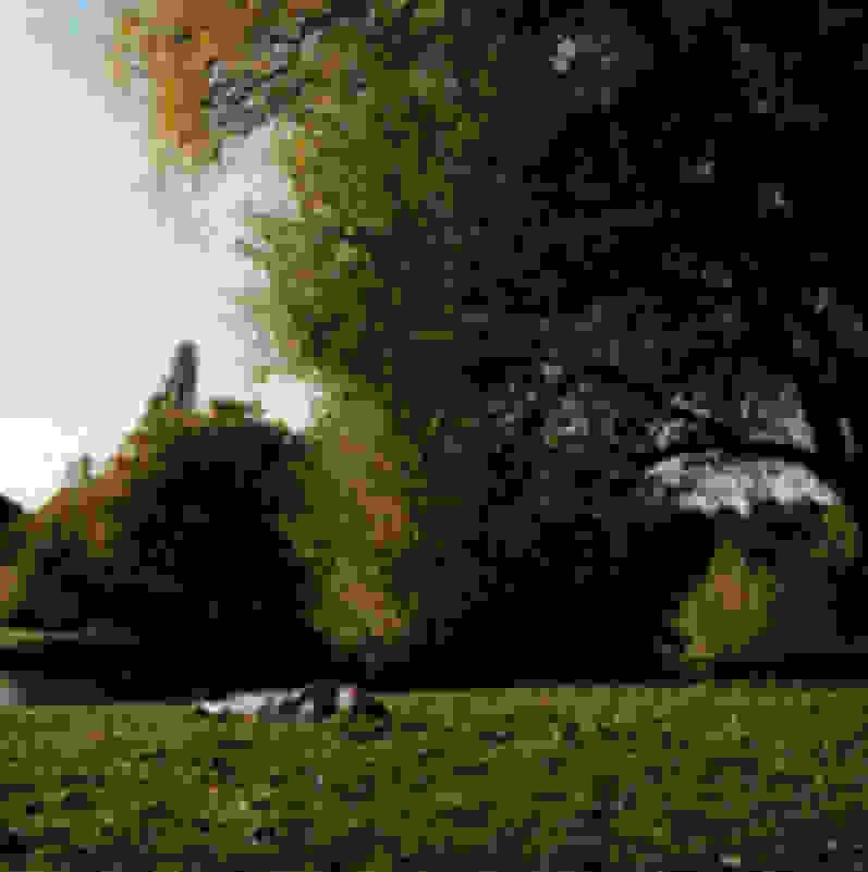 Classic Size, Basking On The Heath, Hampstead Heath, 2022