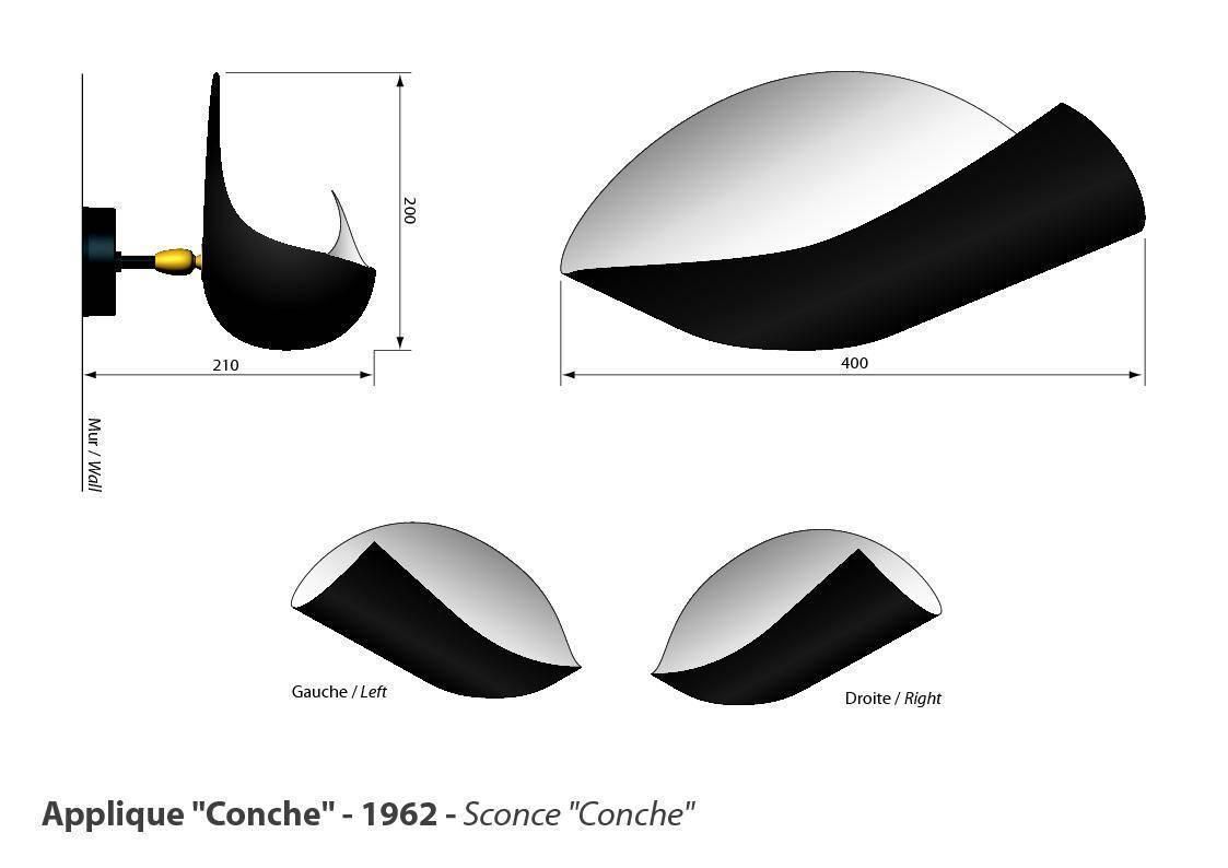 Sconce Applique Serge Mouille Conque Or Conch Shell photo for sale