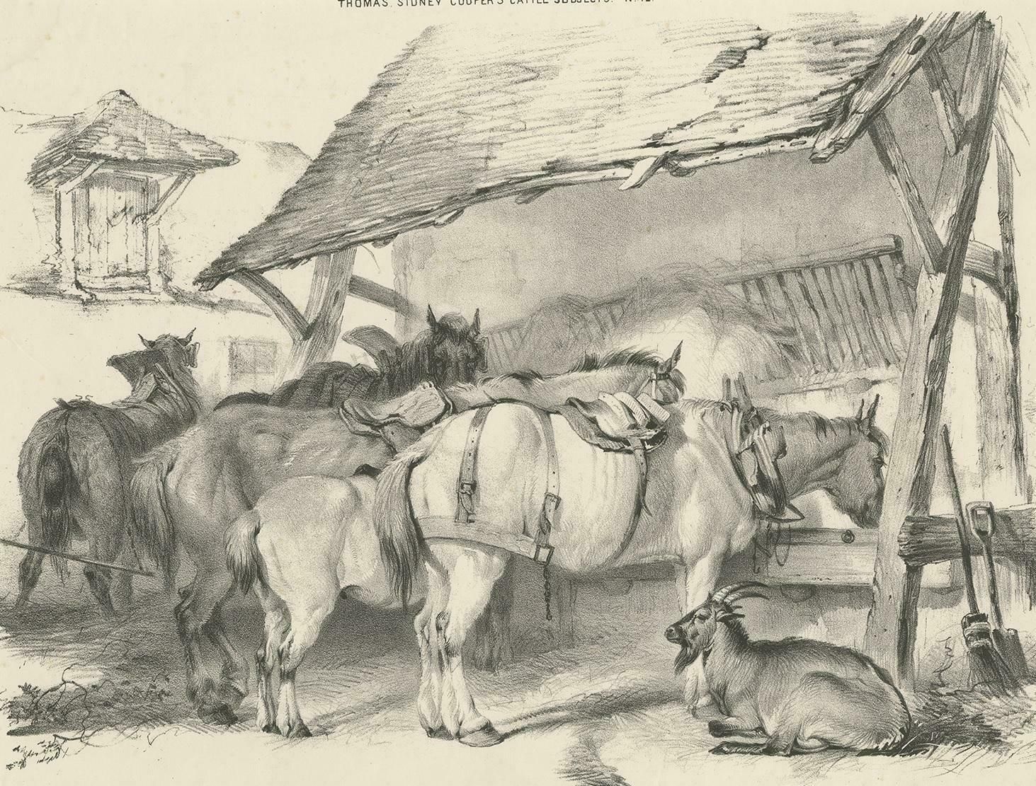 19th Century Antique Print Of Horses And A Goat By Cooper, 1839 photo furniture