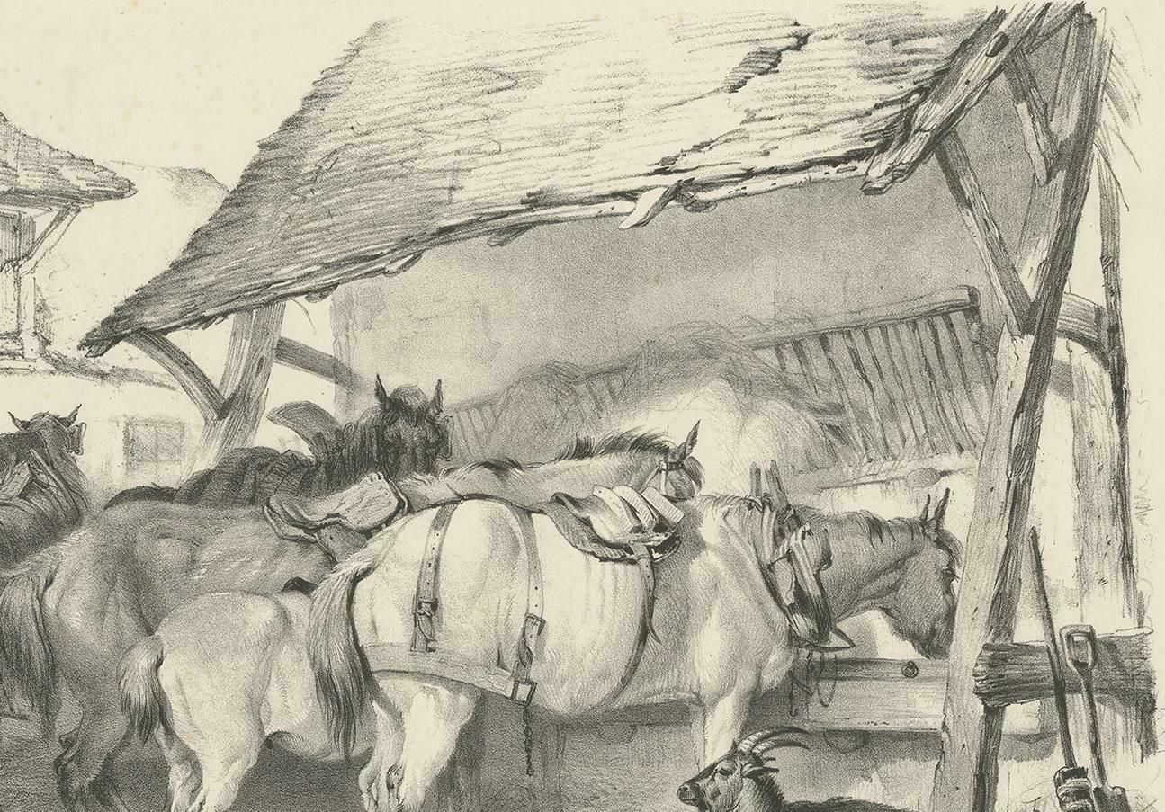 19th Century Antique Print Of Horses And A Goat By Cooper, 1839 photo Art