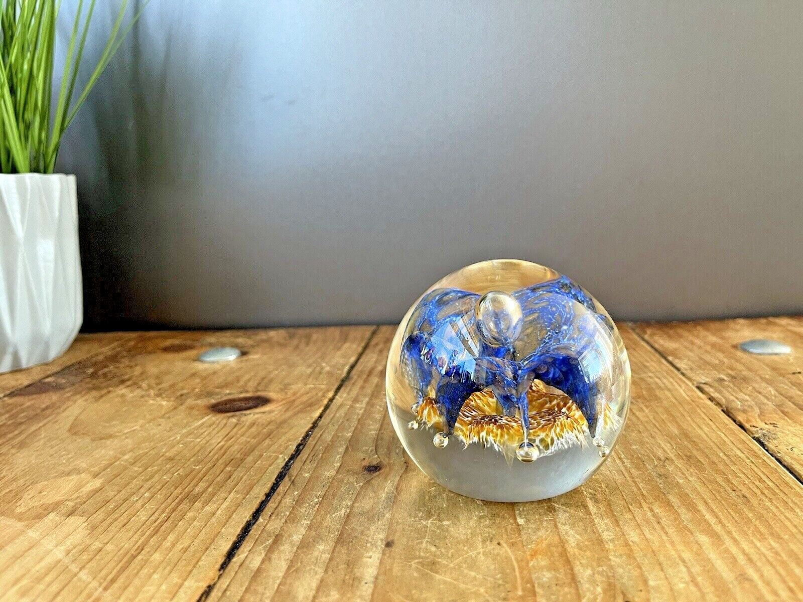 Rare Caithness Glass C1996 Aventurine Limited Edition 750 Paperweight Ct 1355 photo furniture