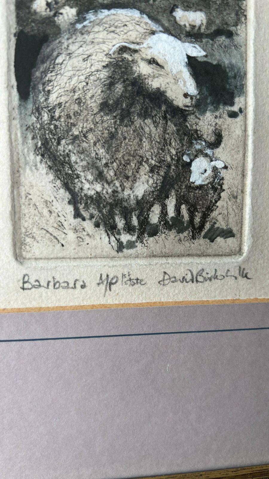 Mid 1900’s Hand Pulled And Coloured Engraving Picture Depicting Sheep And Farmhouse photo Art