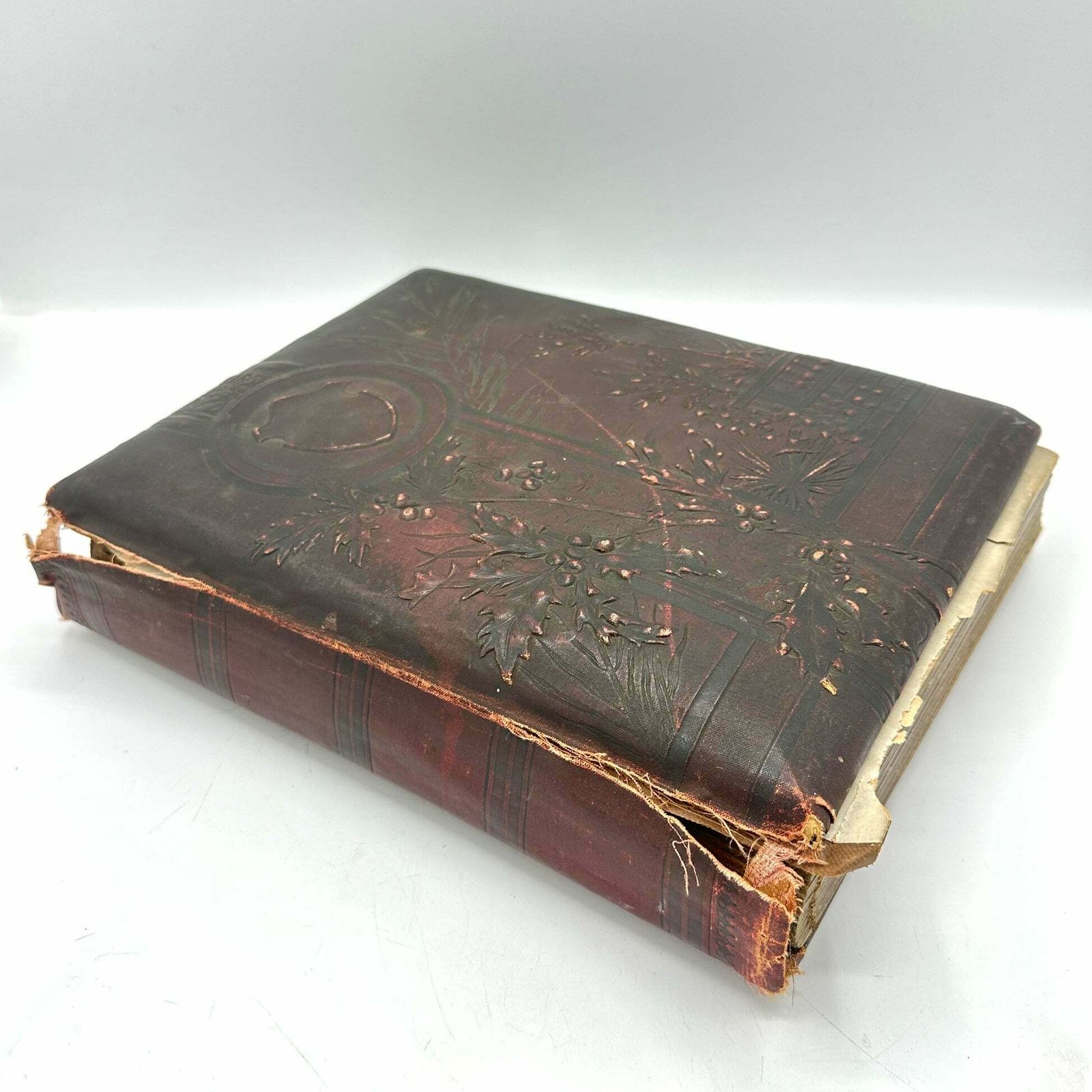 Victorian Era Family Photo Album photo for sale