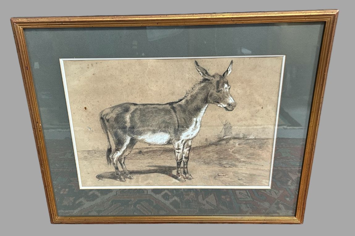 A Lovely Pencil And Chalk Drawing Of A Donkey