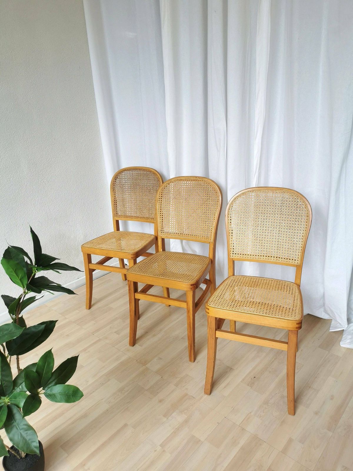 Set Of 3 Vintage Wooden Dine Chairs With Cane Seat And Cane Backrest / Mid Century Dining Room Furniture / Yugoslavia 1970s / Wicker Mash