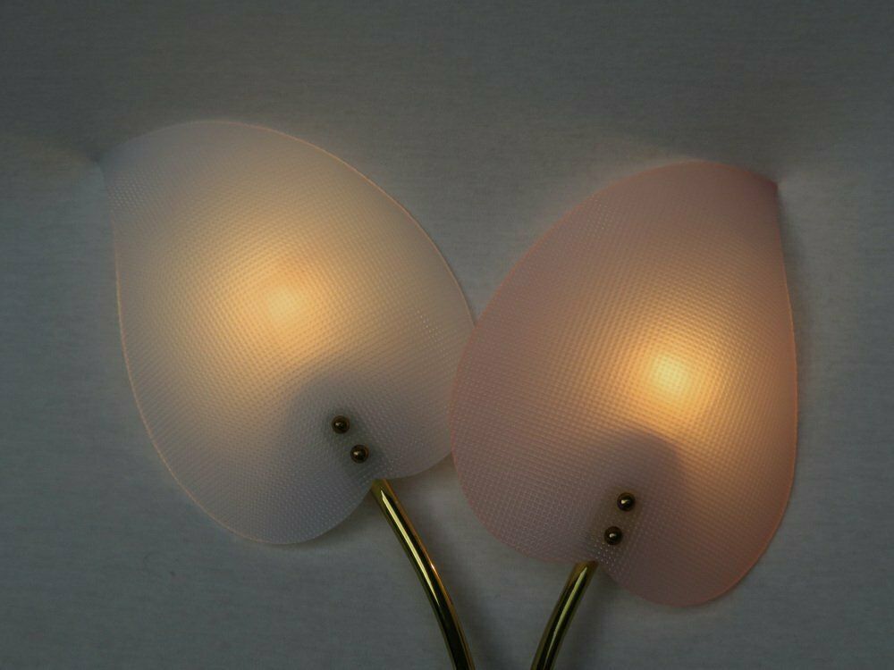 photo furniture Floral Wall Lights In Acrylic Glass & Brass From Geru Lights, 1950s, Set Of 2