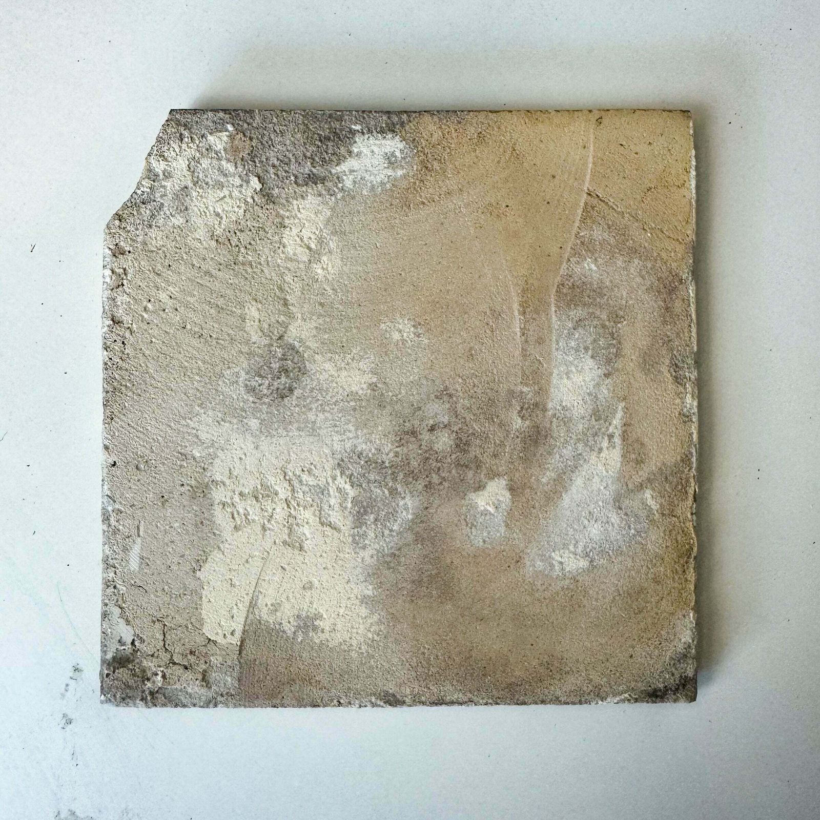 Single 18th Century Dutch Delft Swan Tile photo Home Fixtures
