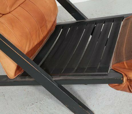 photo furniture Ds 80 Lounge Chair By Ueli Berger For De Sede, 1970s