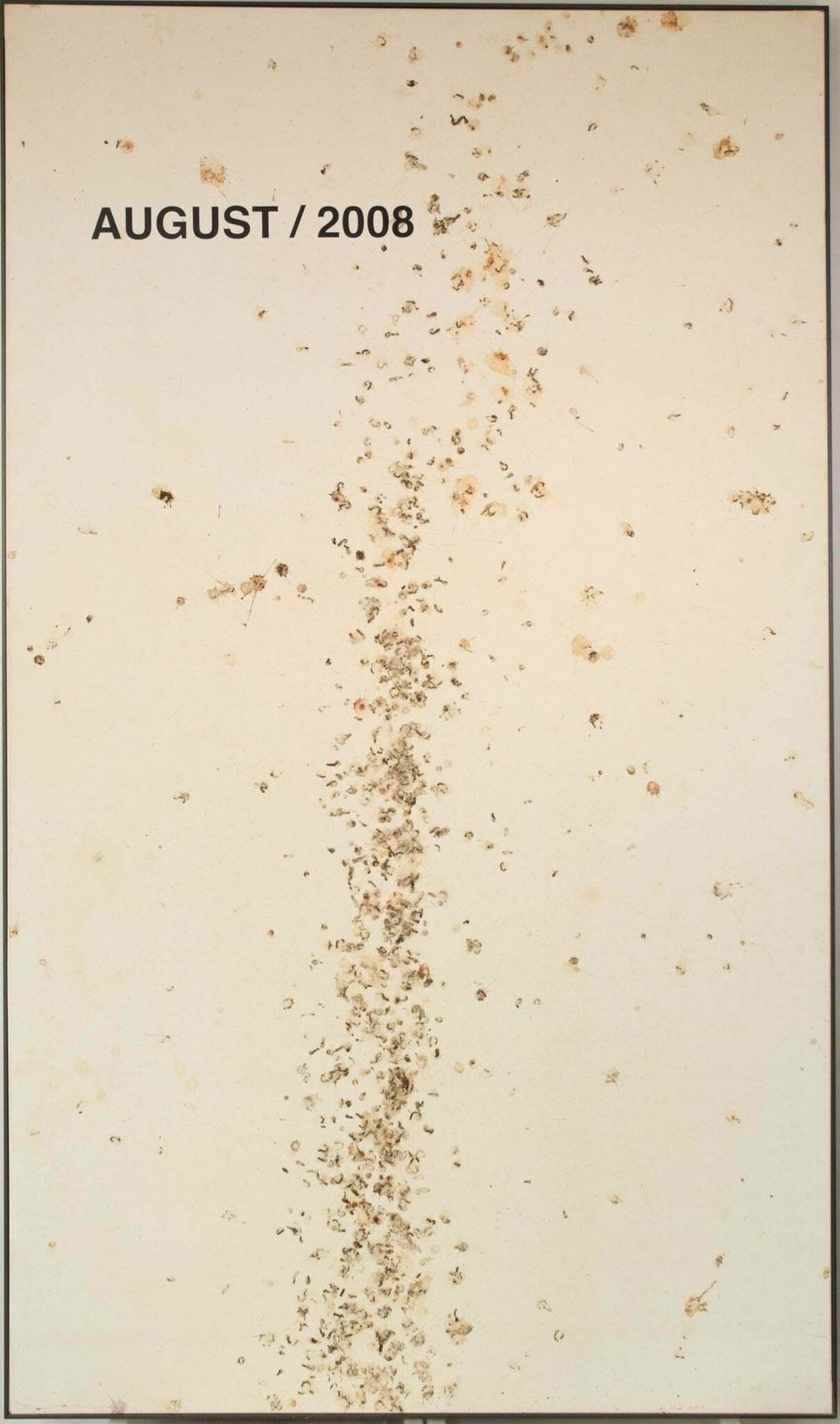 Volgeling Van Dan Colen – 'Untitled (Bird Shit)'