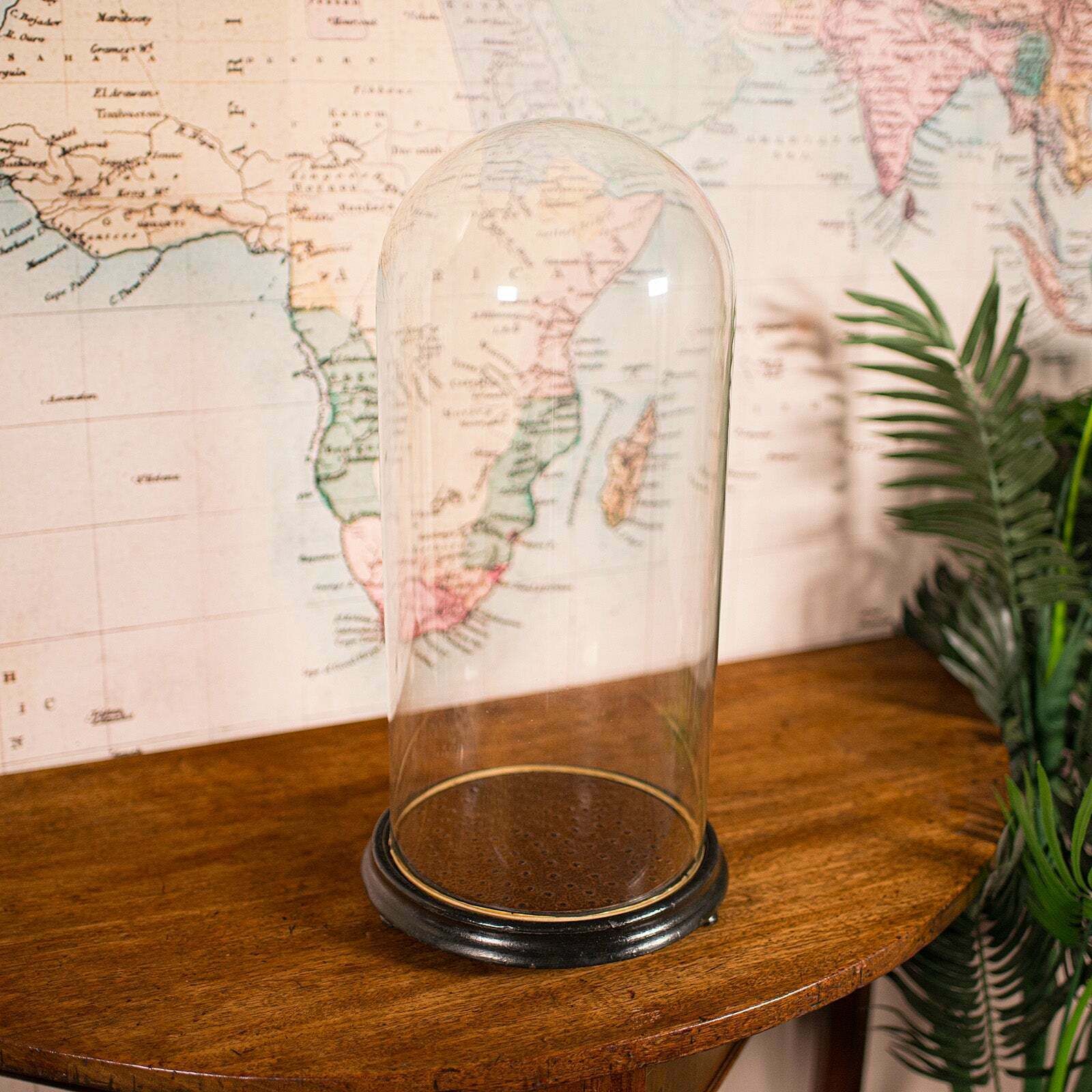 Large Antique Collector's Dome, English, Glass, Taxidermy, Specimen, Victorian photo for sale