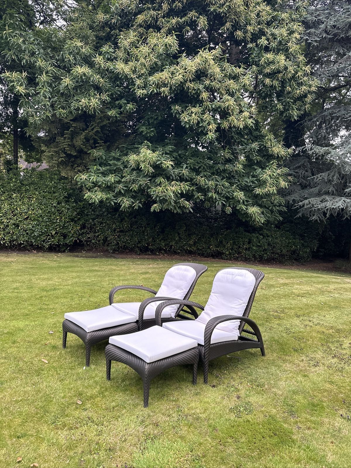 Dedon Sun Lounges Pair photo vinterior