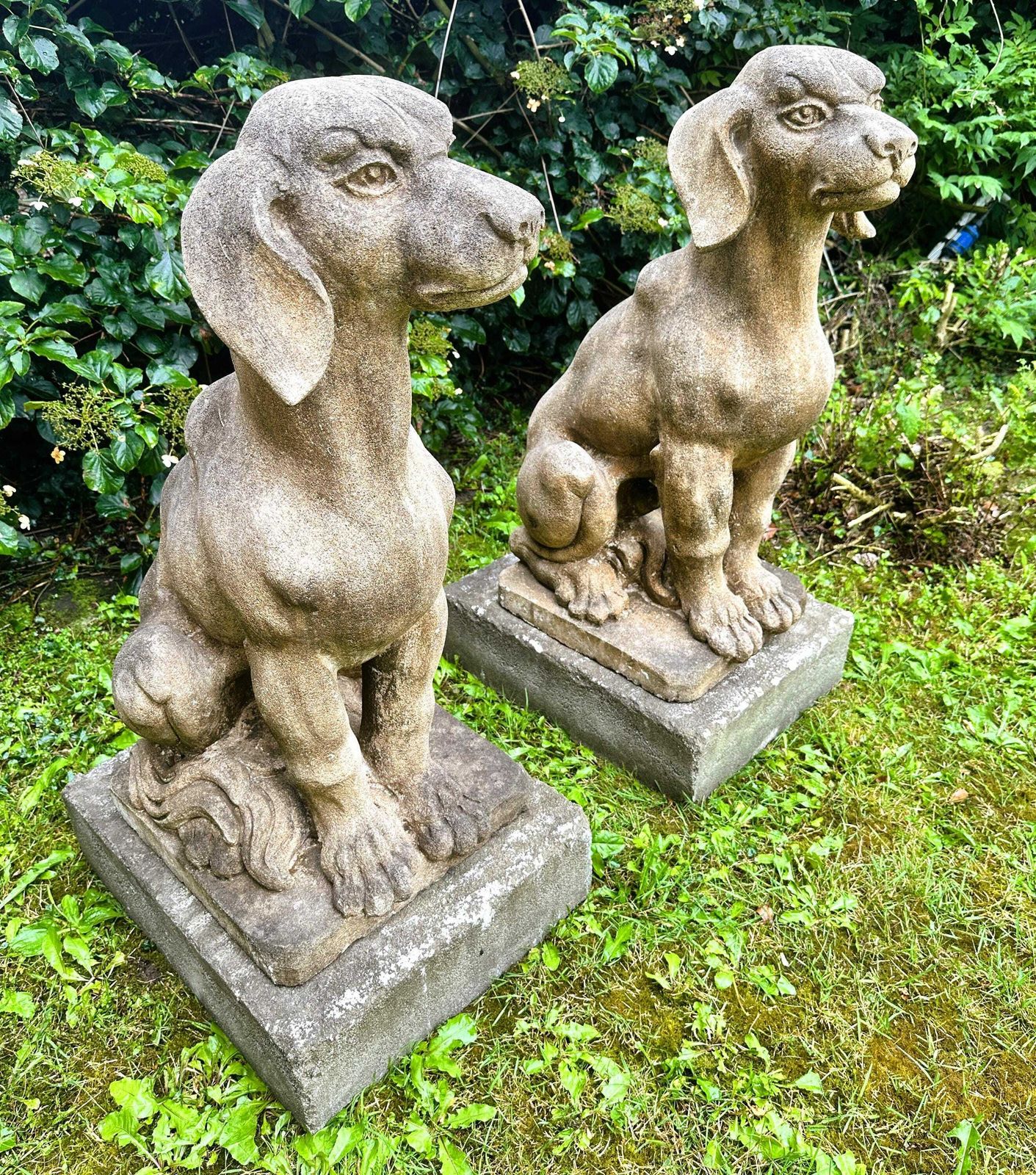 Paar Zeer Grote Stenen Honden, Kalksteen, Frankrijk Ca. Jaren 1940. photo for sale