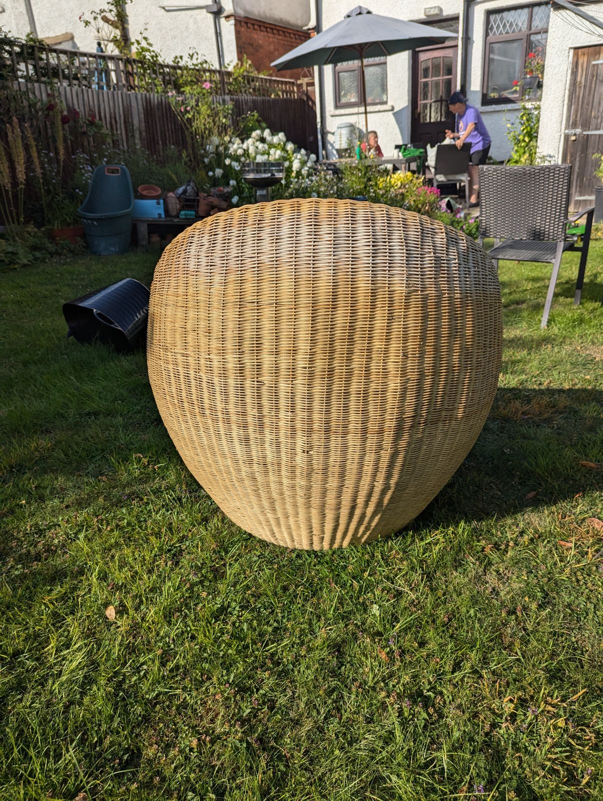 Rattan Egg Chair photo furniture
