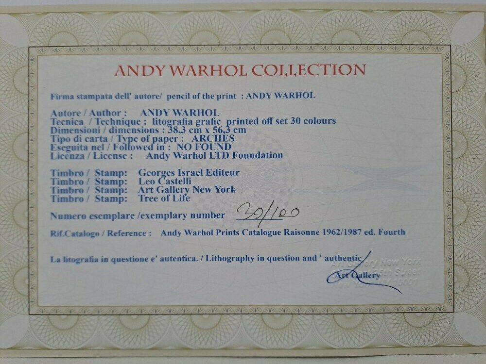 Andy Warhol “Mickey Mouse” — Premium Plate Signed Pop Art Edition With Castelli Documentation photo for sale