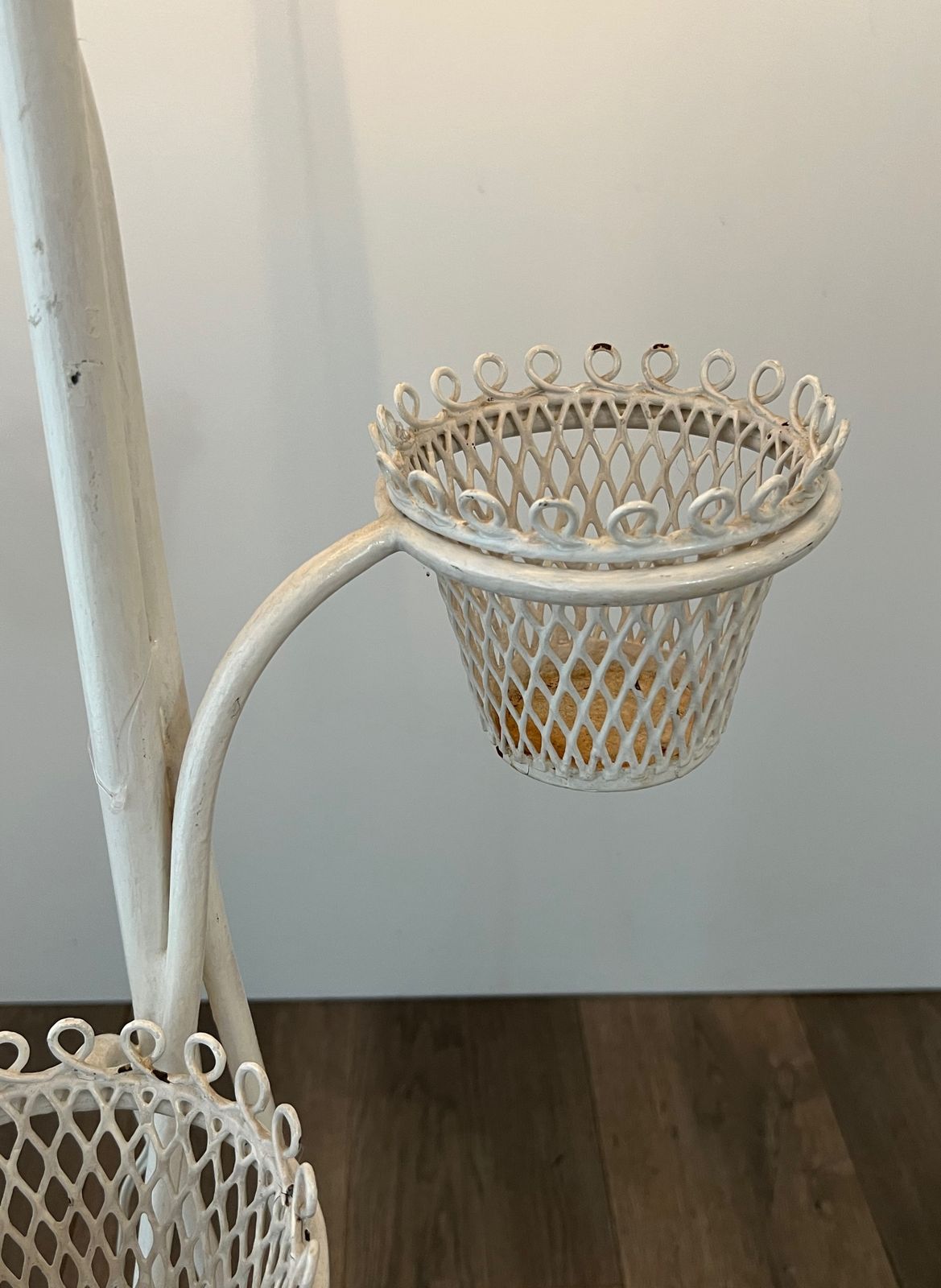 Floor Lamp Plant Holder Cap D'ail Collection By Mathieu Matégot photo buy