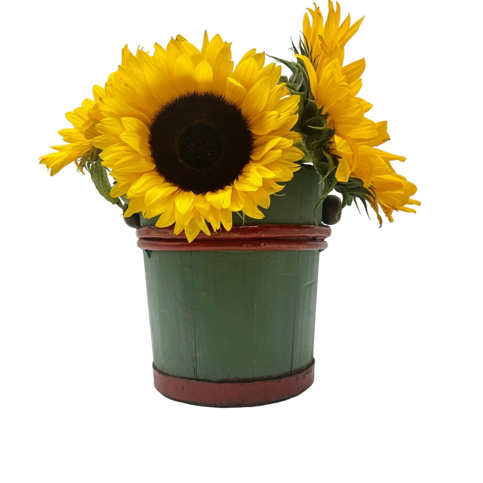 Antique Painted Bentwood Tin Lined Planter With Handles   Flower Pot   Flower Vase   Gardenalia   Home Decor