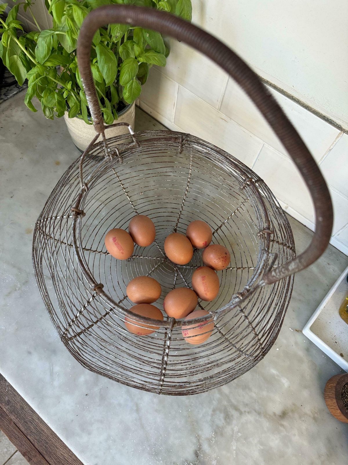 Rare Xxl Vintage French Egg Basket photo 95.0