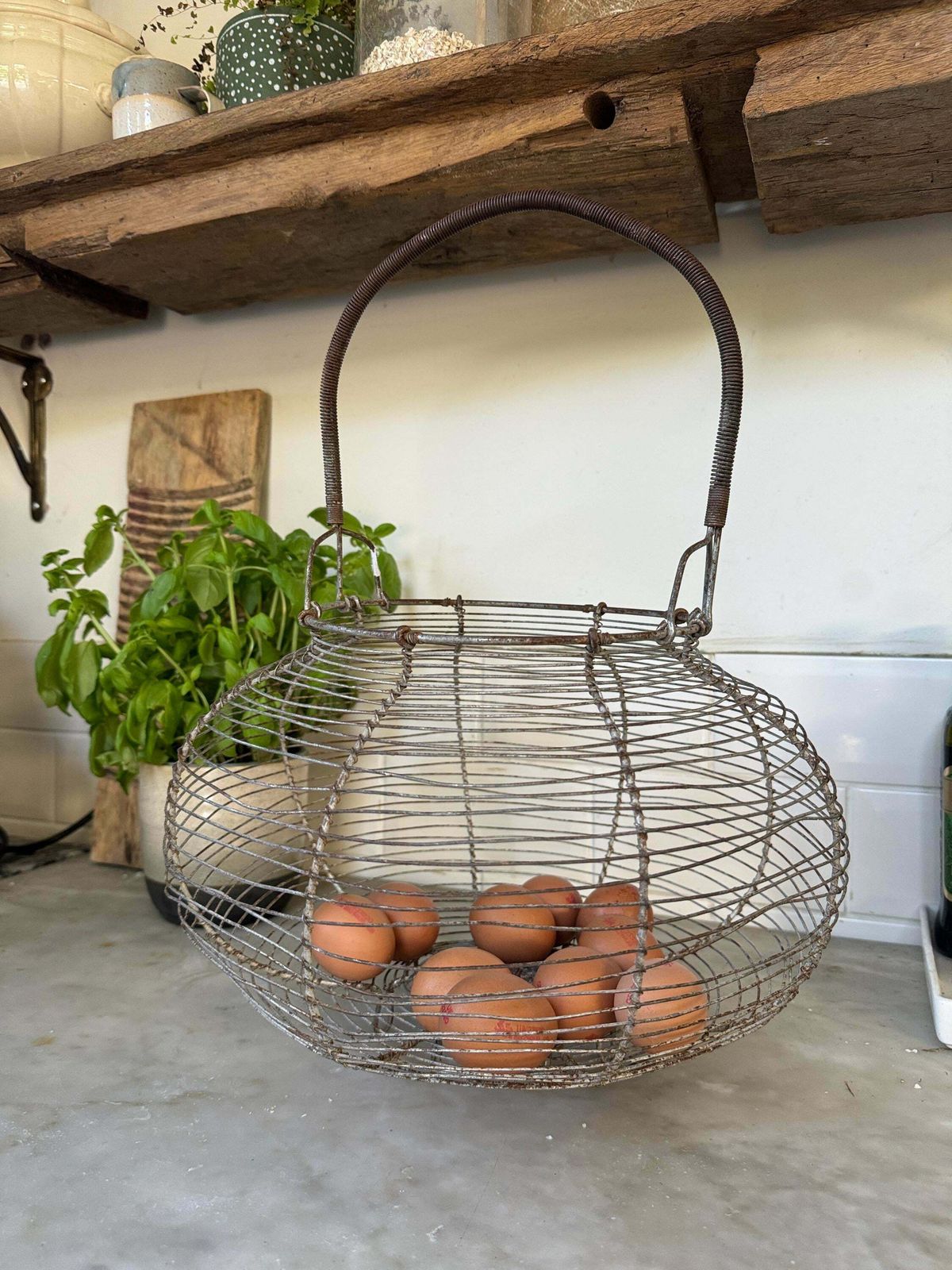 Rare Xxl Vintage French Egg Basket photo vintage