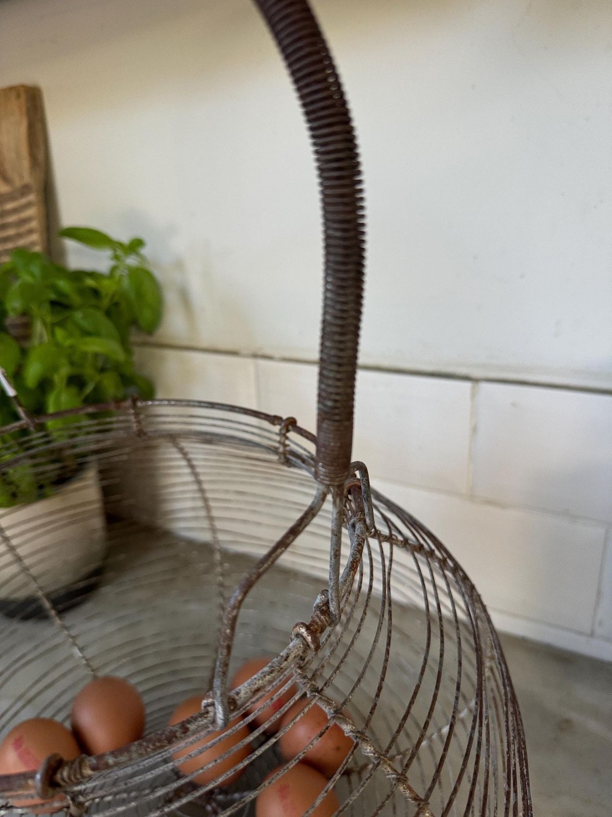photo furniture Rare Xxl Vintage French Egg Basket