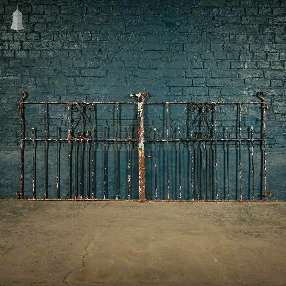 photo vinterior Driveway Double Gates, Wrought Iron